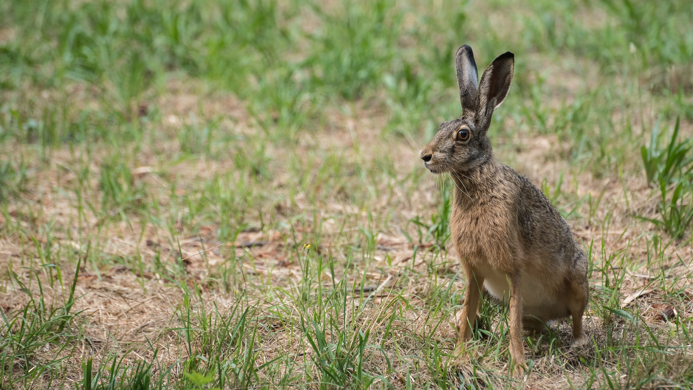 Paralizzata dalla paura!