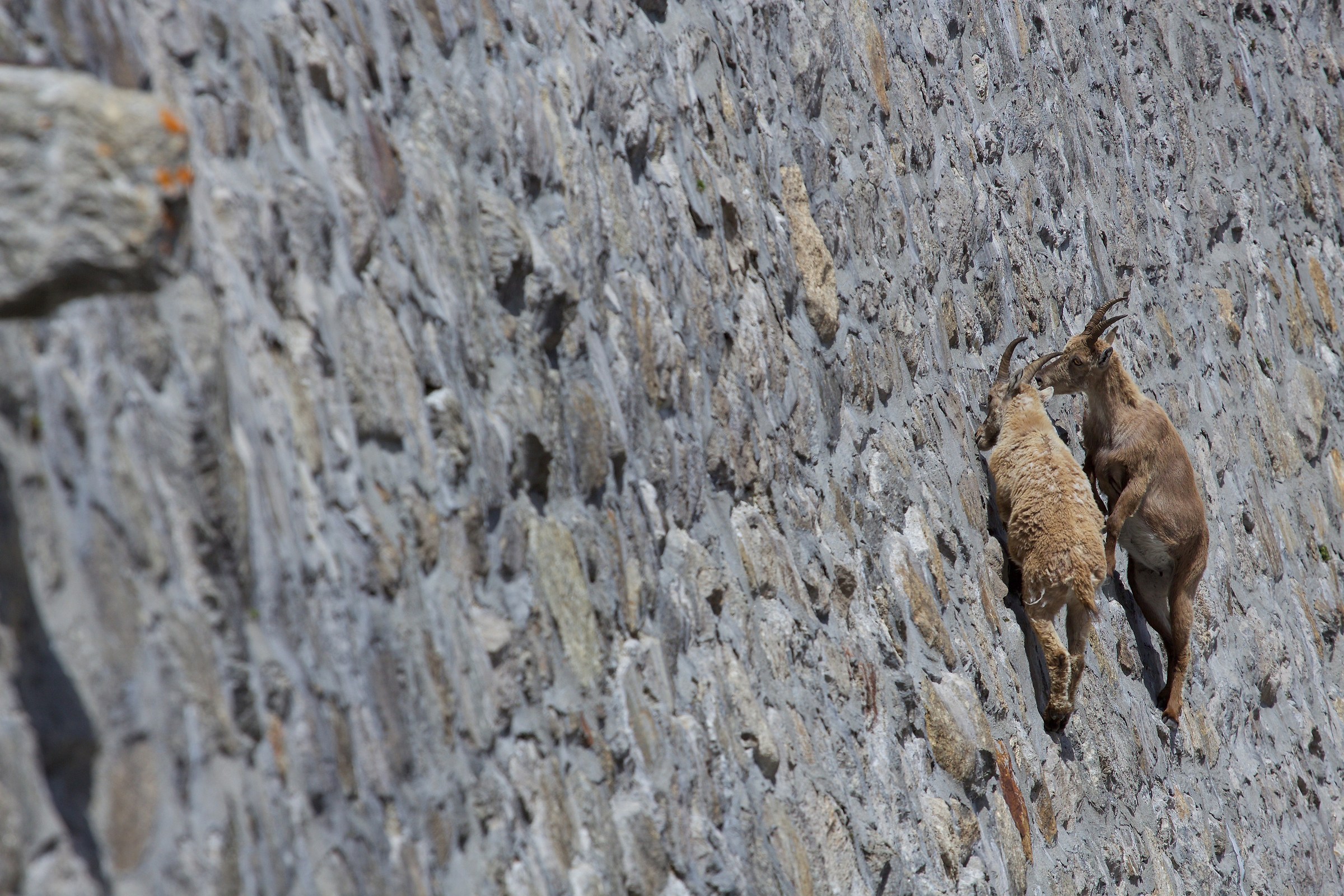 We are neighbors with neighbors