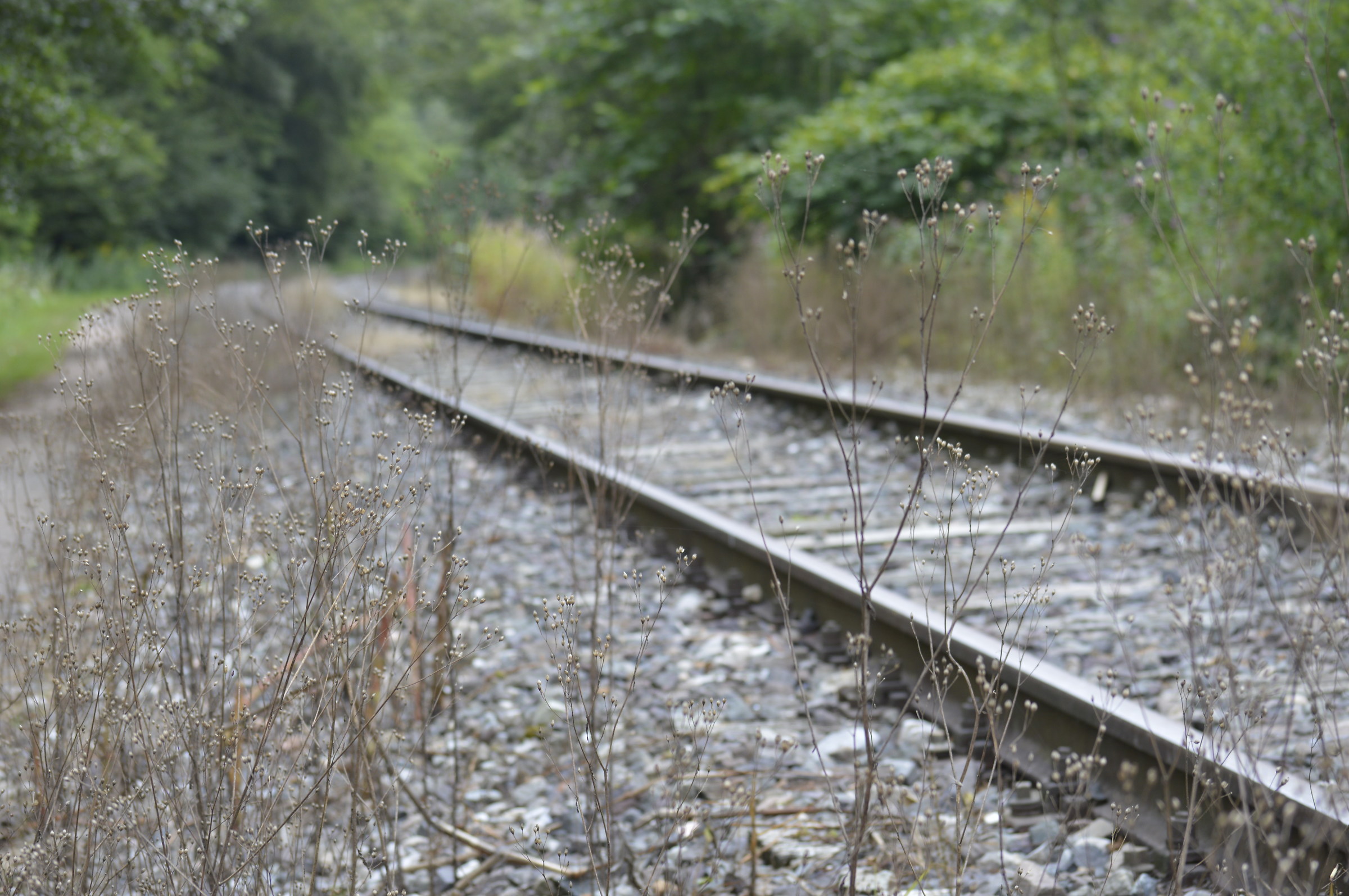 Ferrovia abbandonata