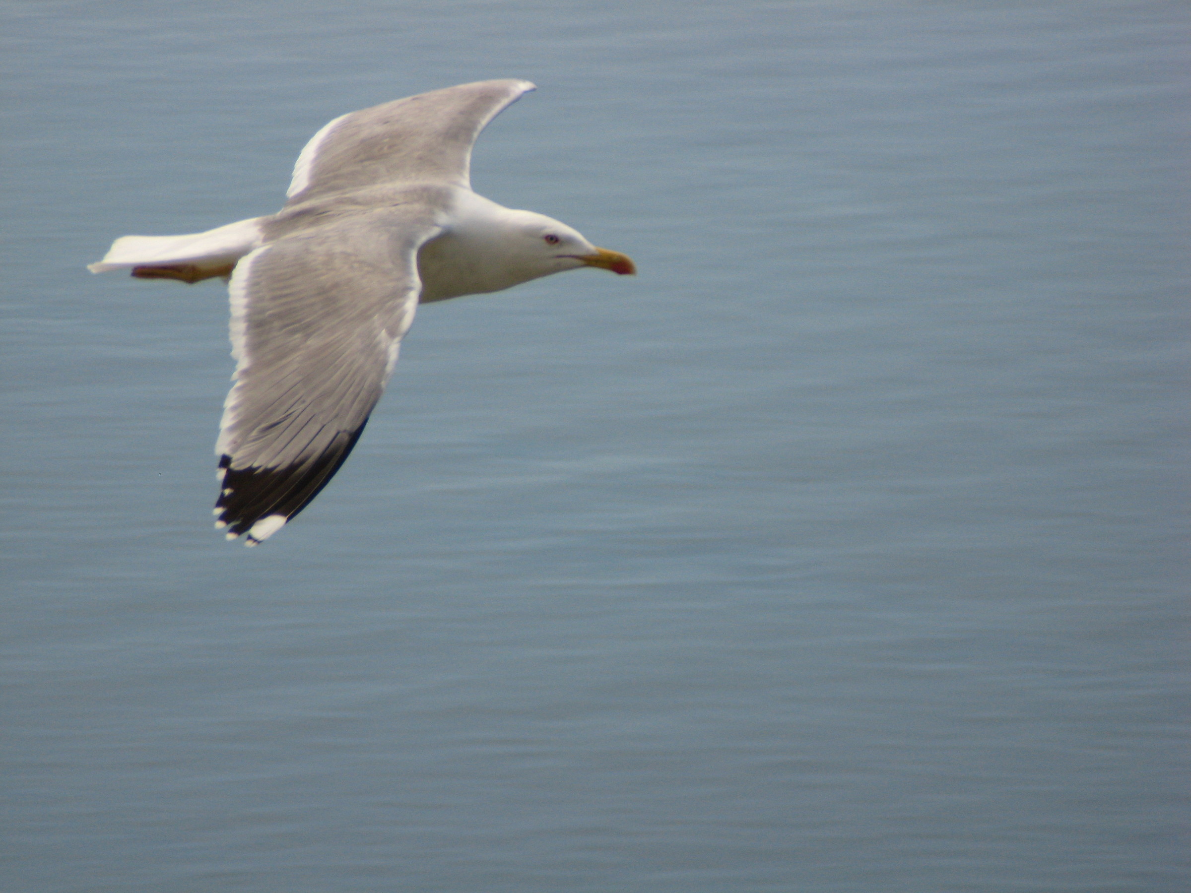 In the blue painted blue ...