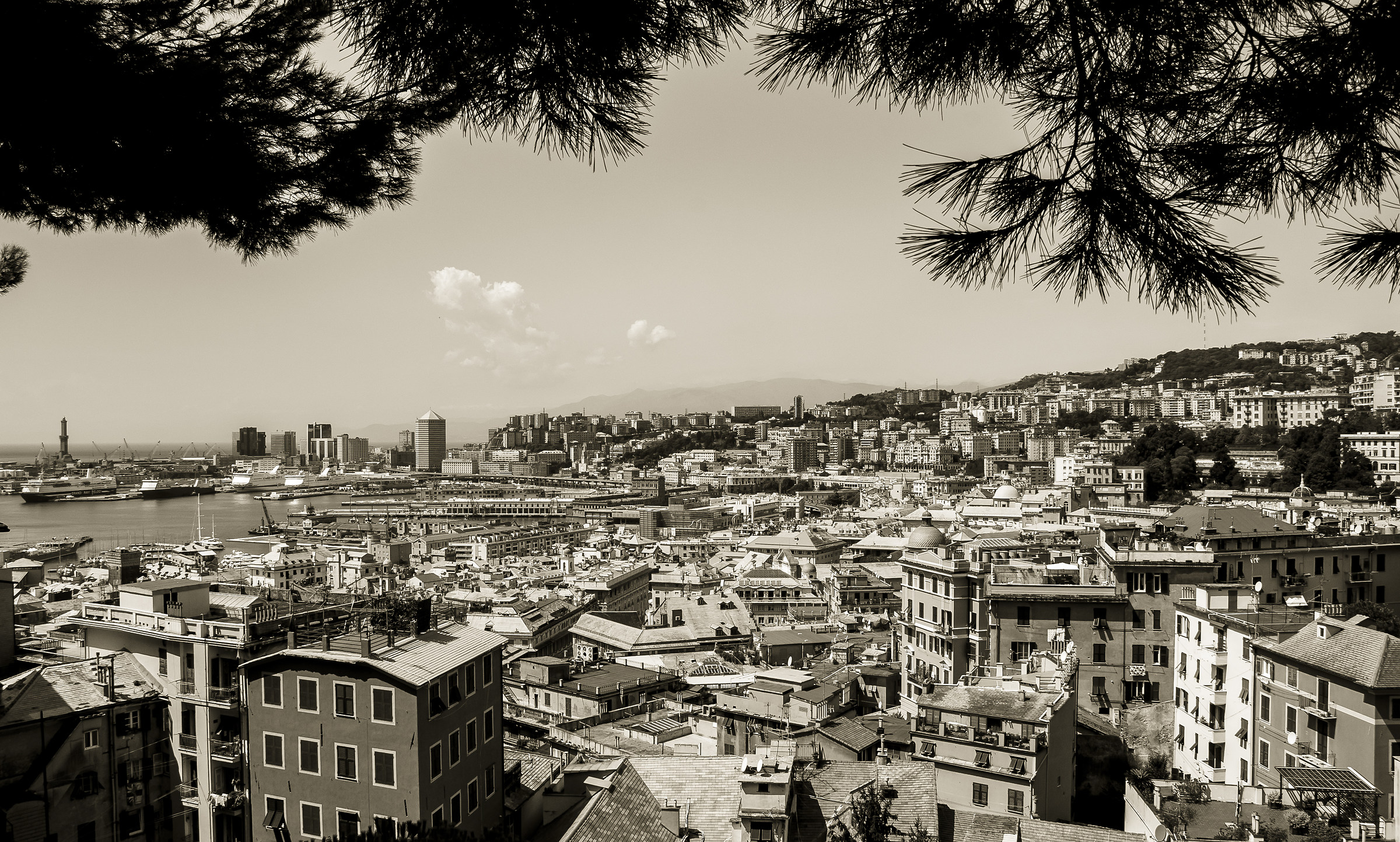 Genova-vista da Castelletto
