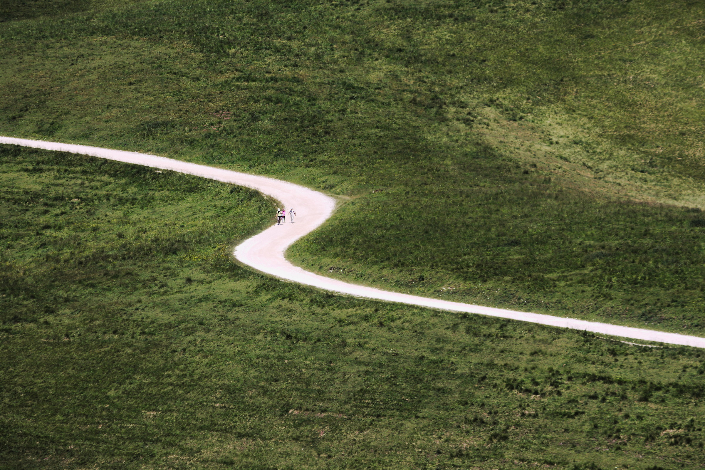 Camminando nel verde