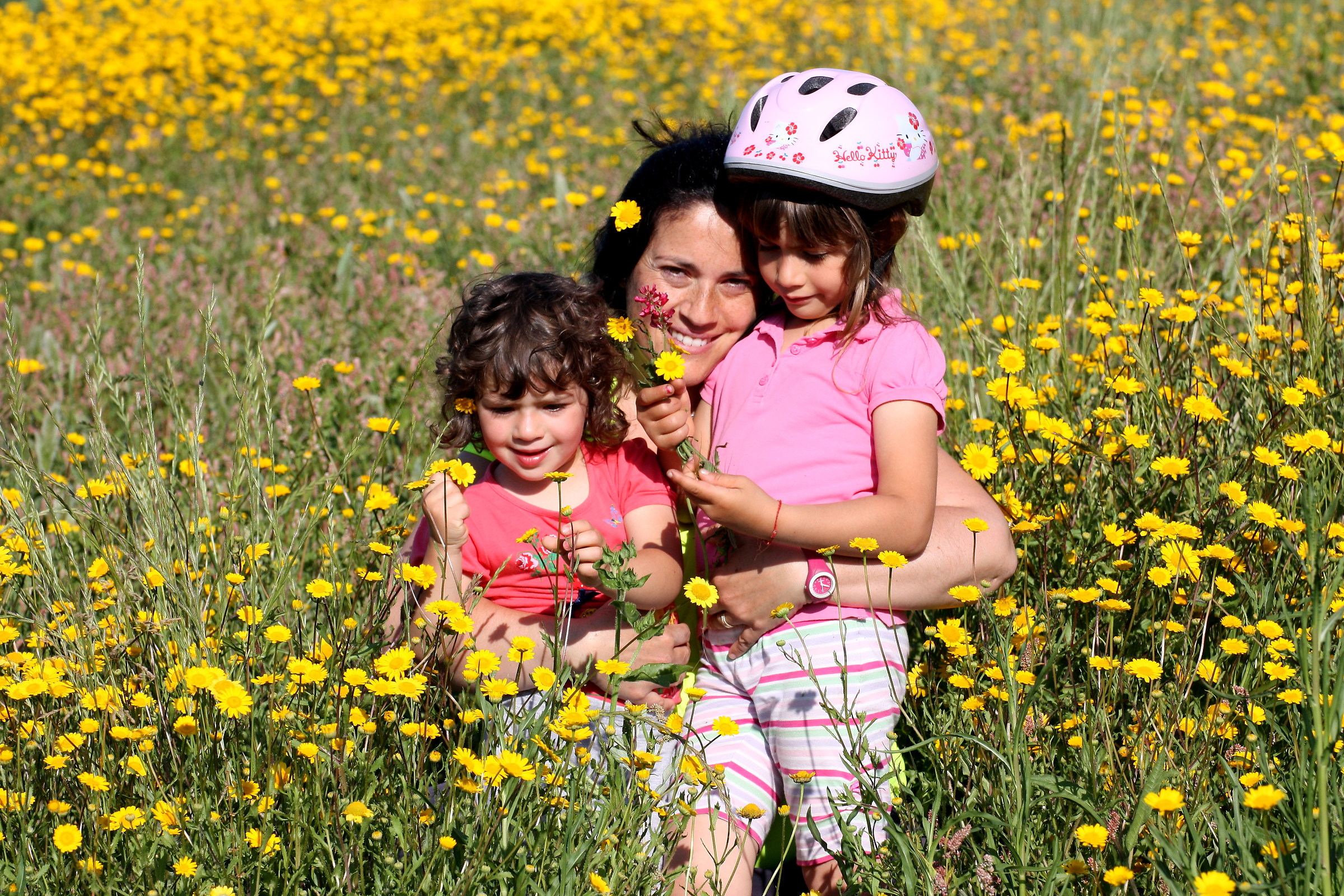 frame of wildflowers