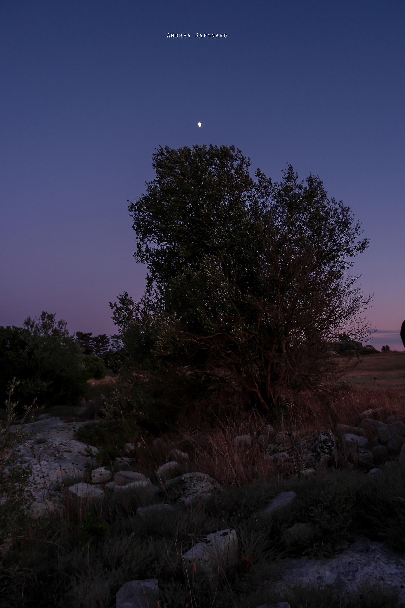 After sunset in the countryside of San Cataldo