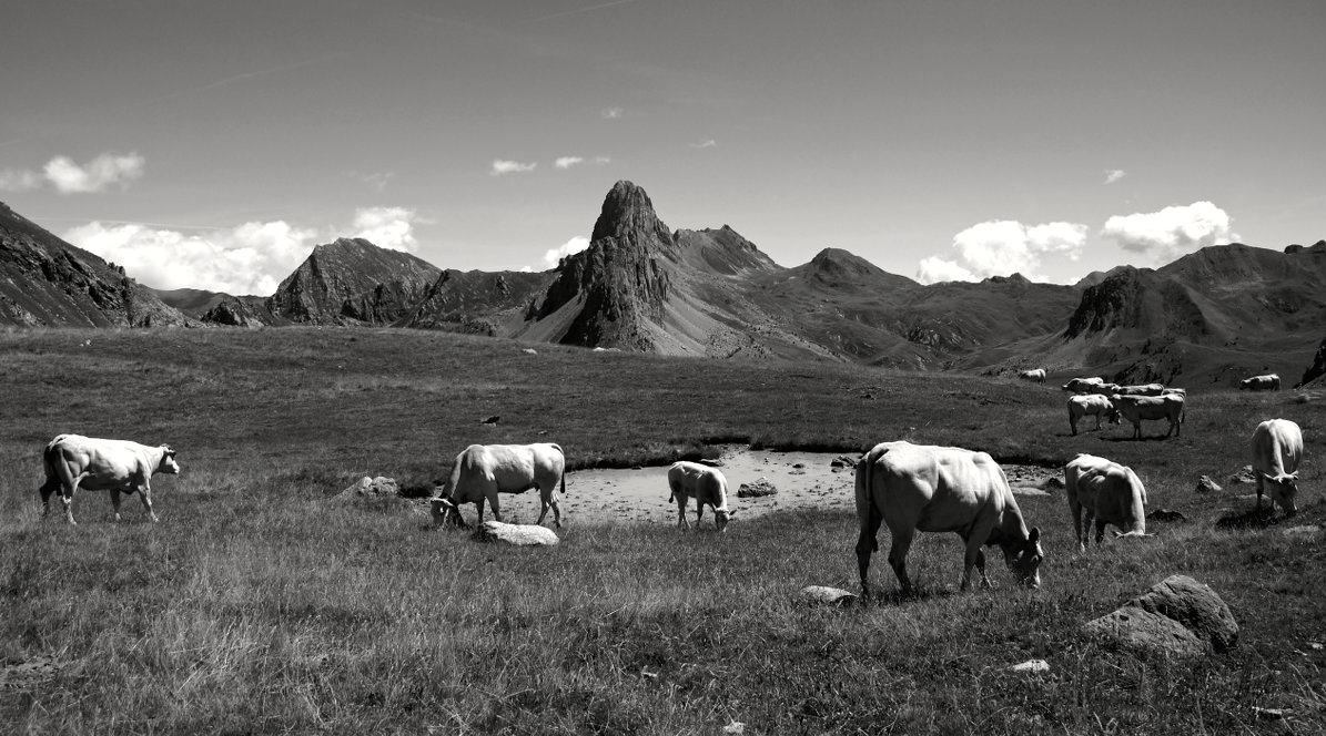 High alpine mountain pastures