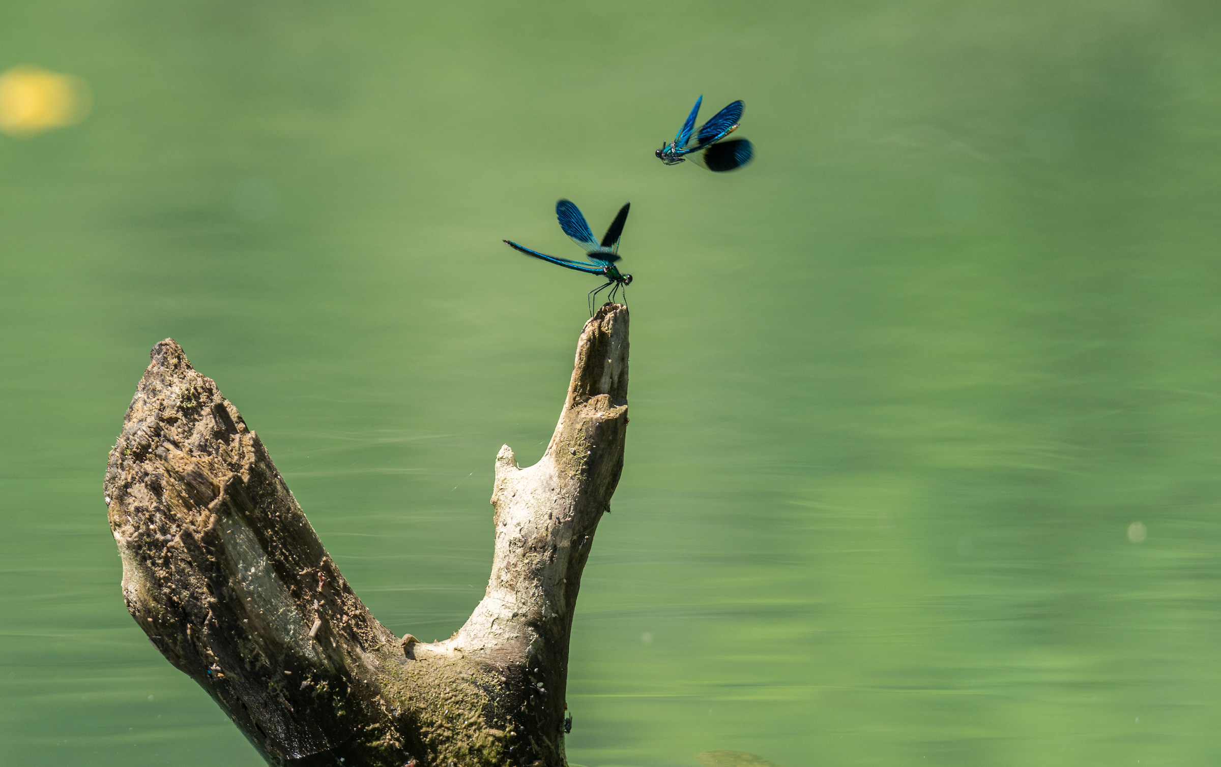 close encounters of the same type