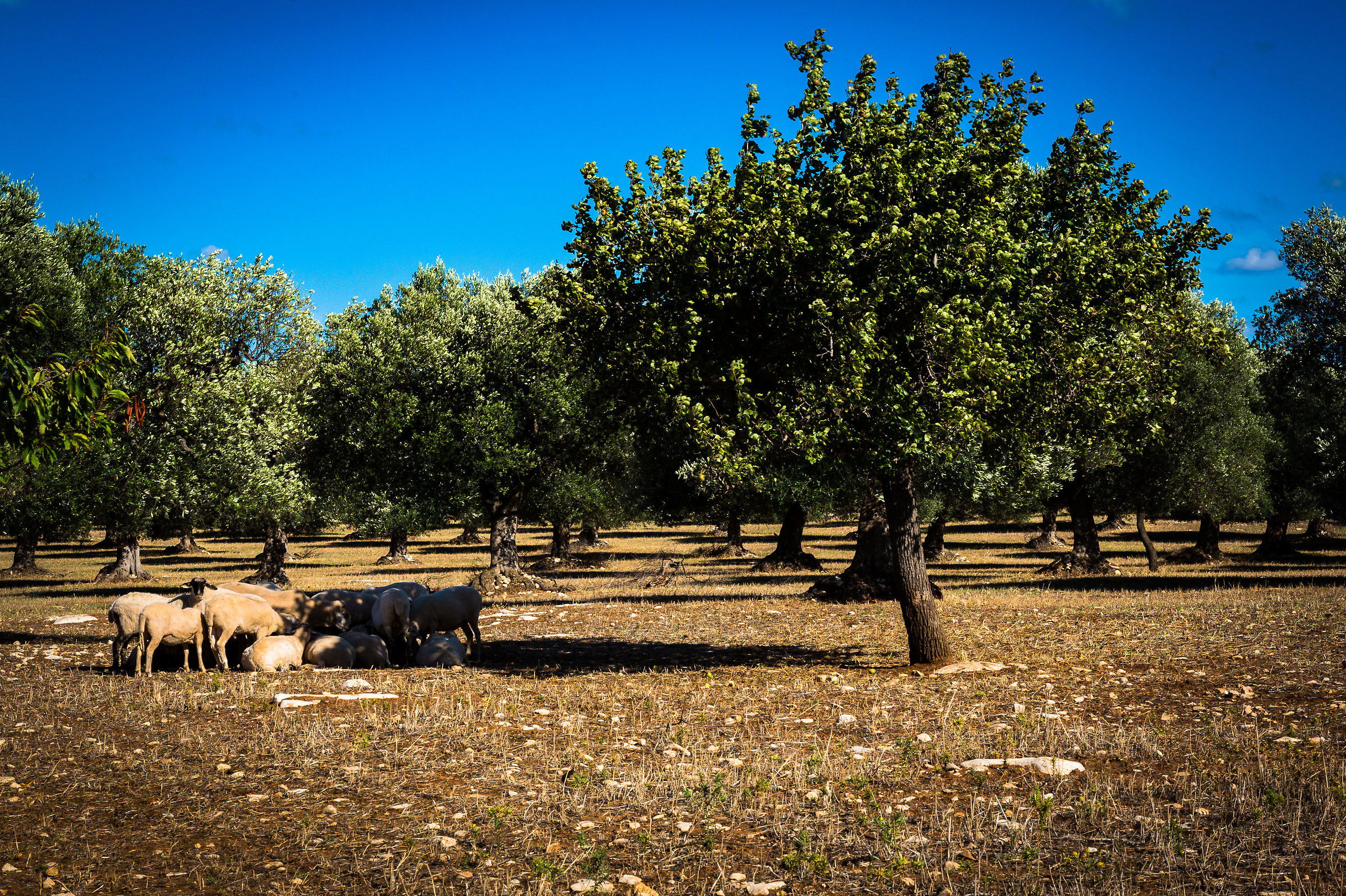 Better together ... # 2