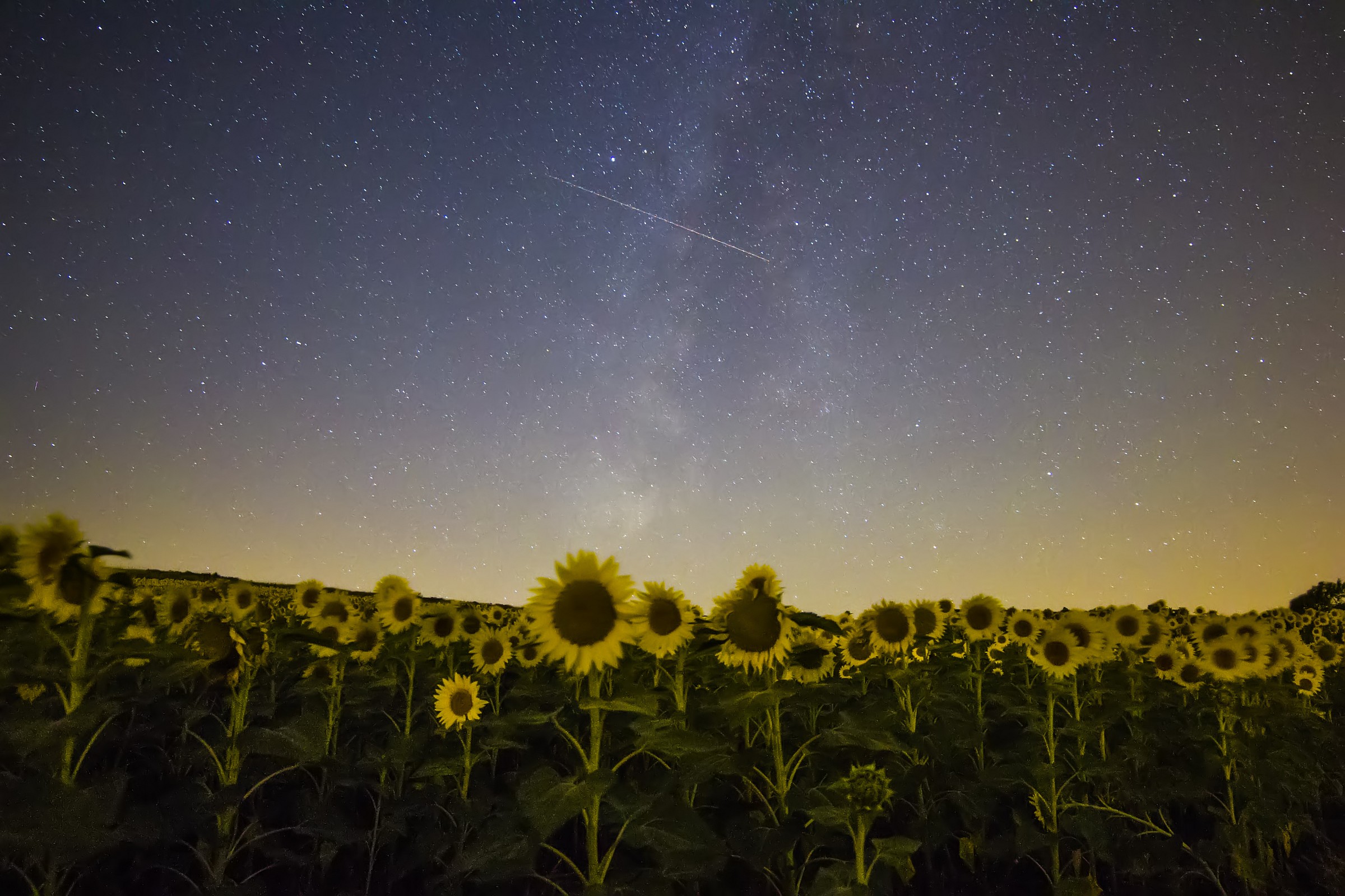 Escape from the city