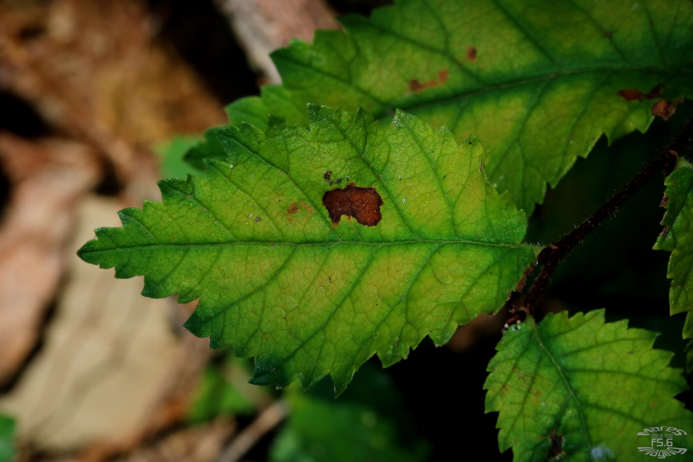 L'estate sta finendo...