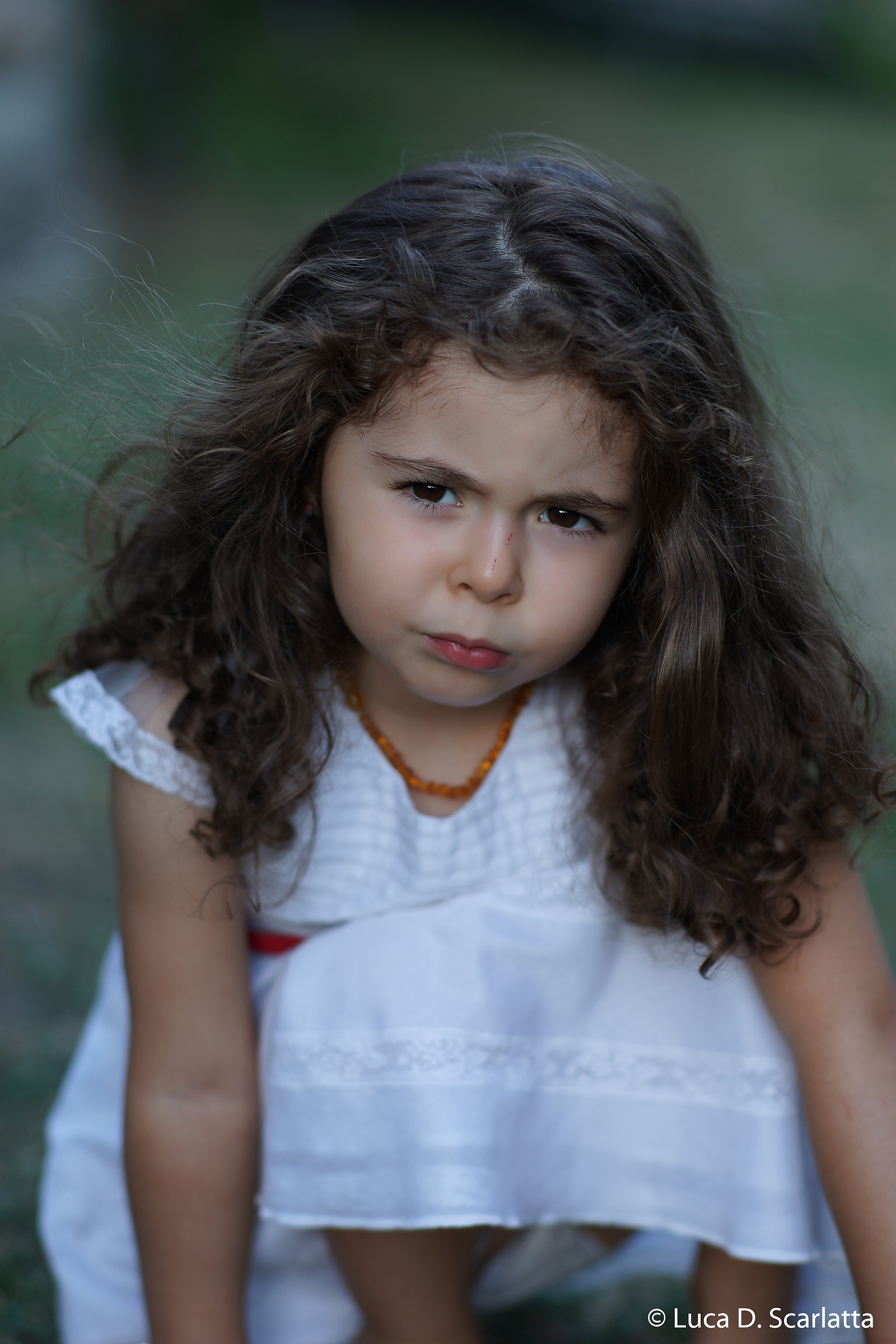 I argued with kitty ... So what ?!