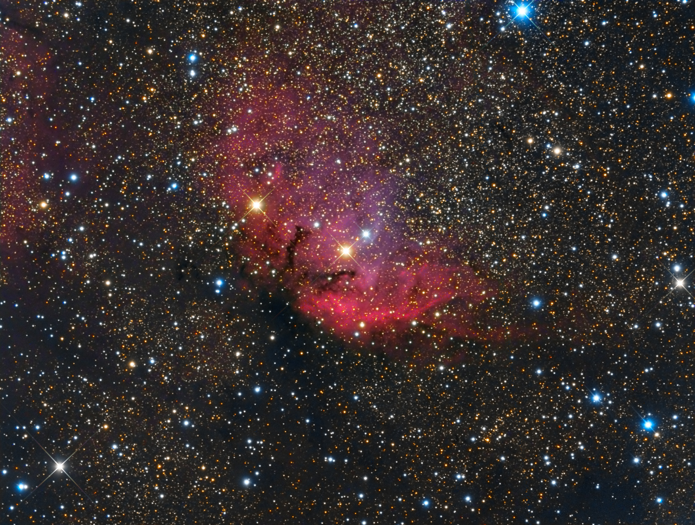 Tulip Nebula