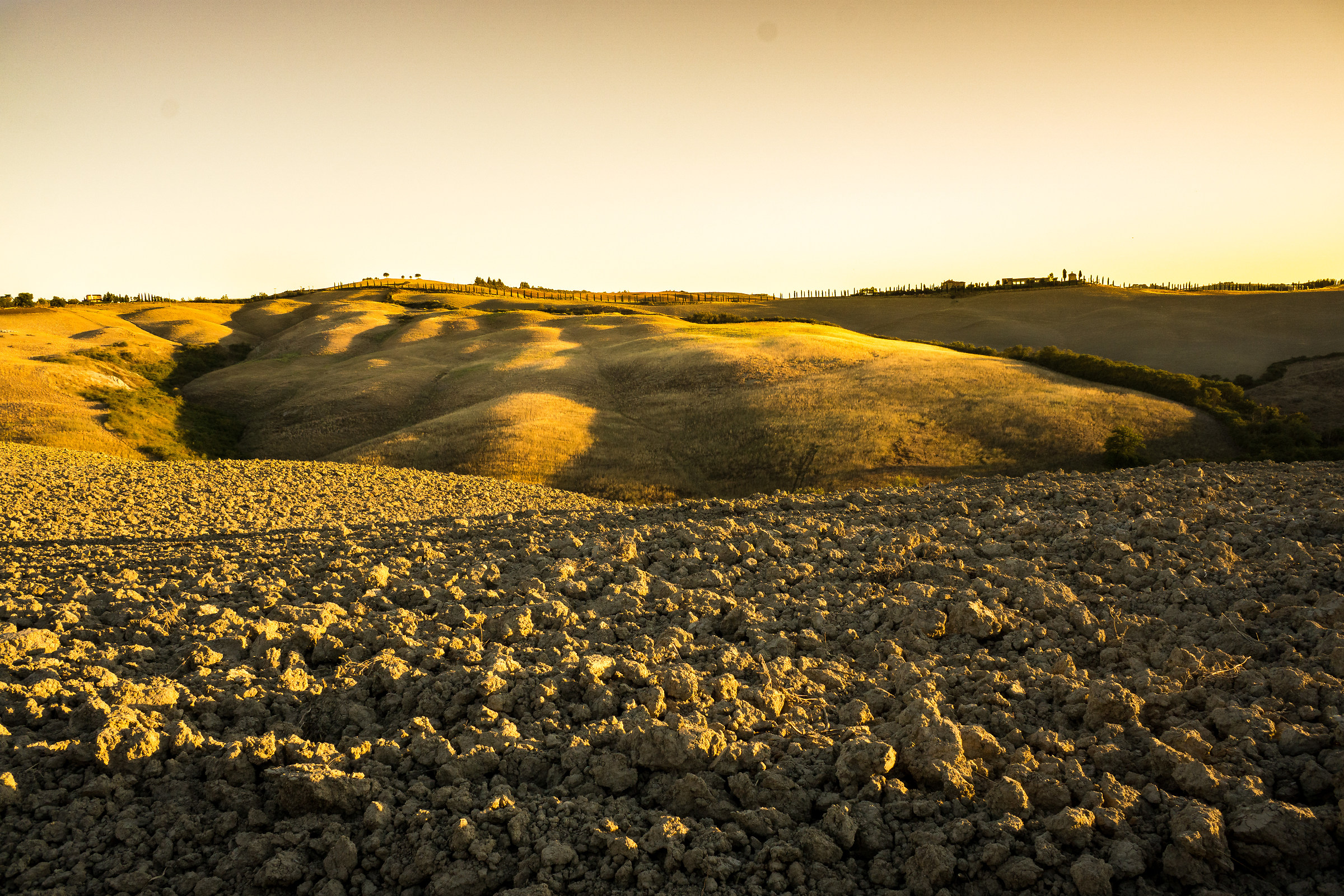 Countryside Asciano - 1