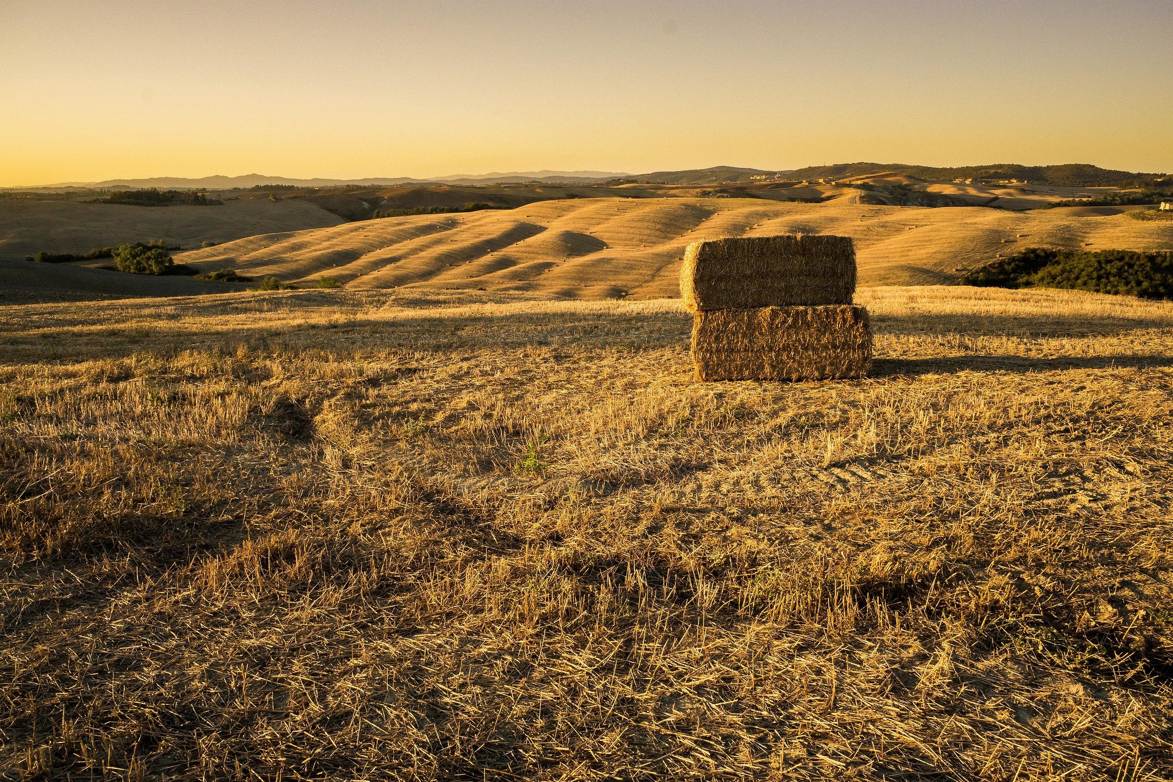 Countryside Asciano - 2