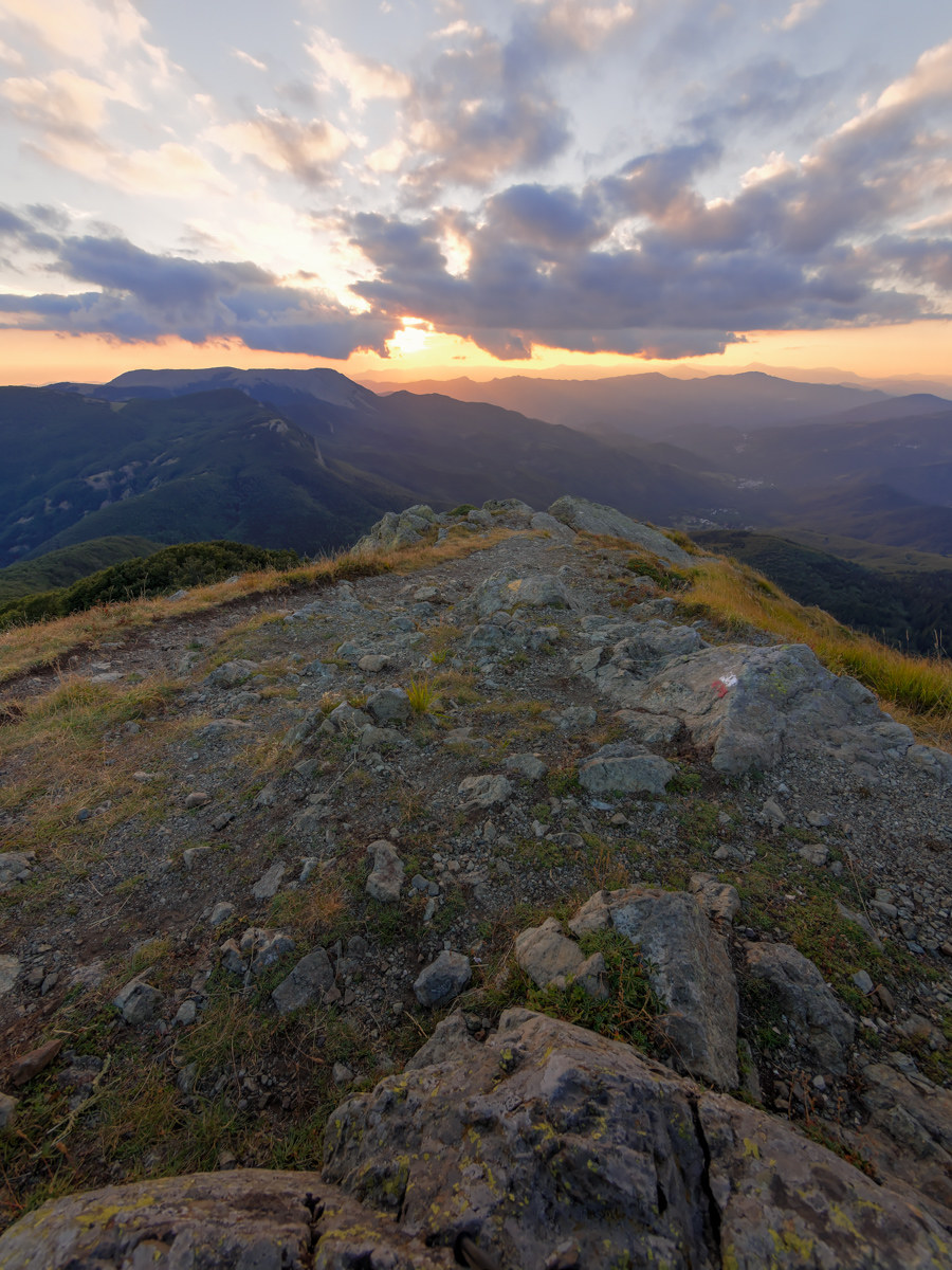 da M.Penna verso M.Aiona