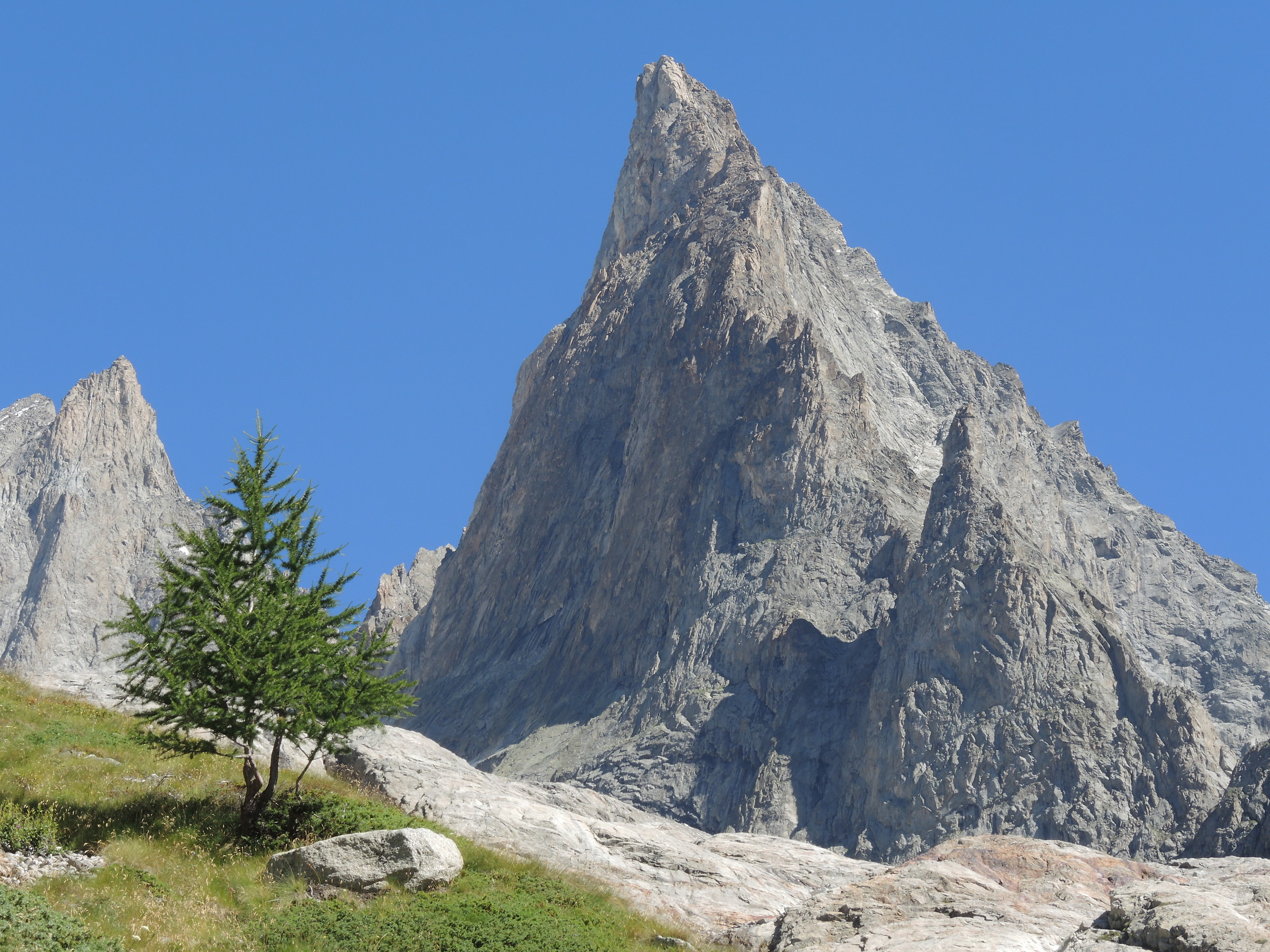 Aguille Vert vs Aguille Noire