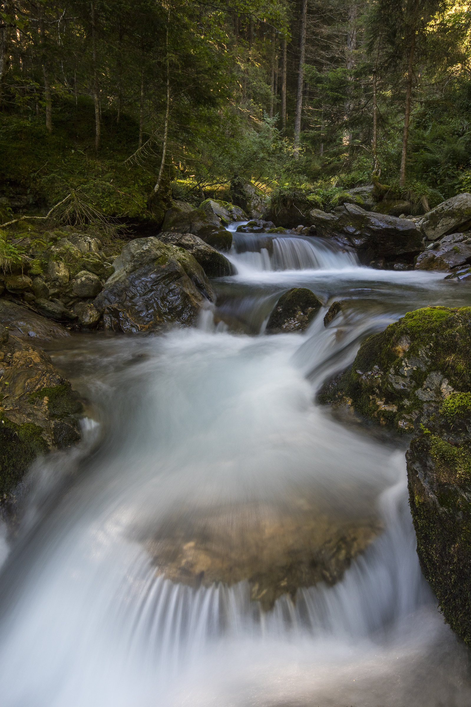 stream in Val Campovecchio