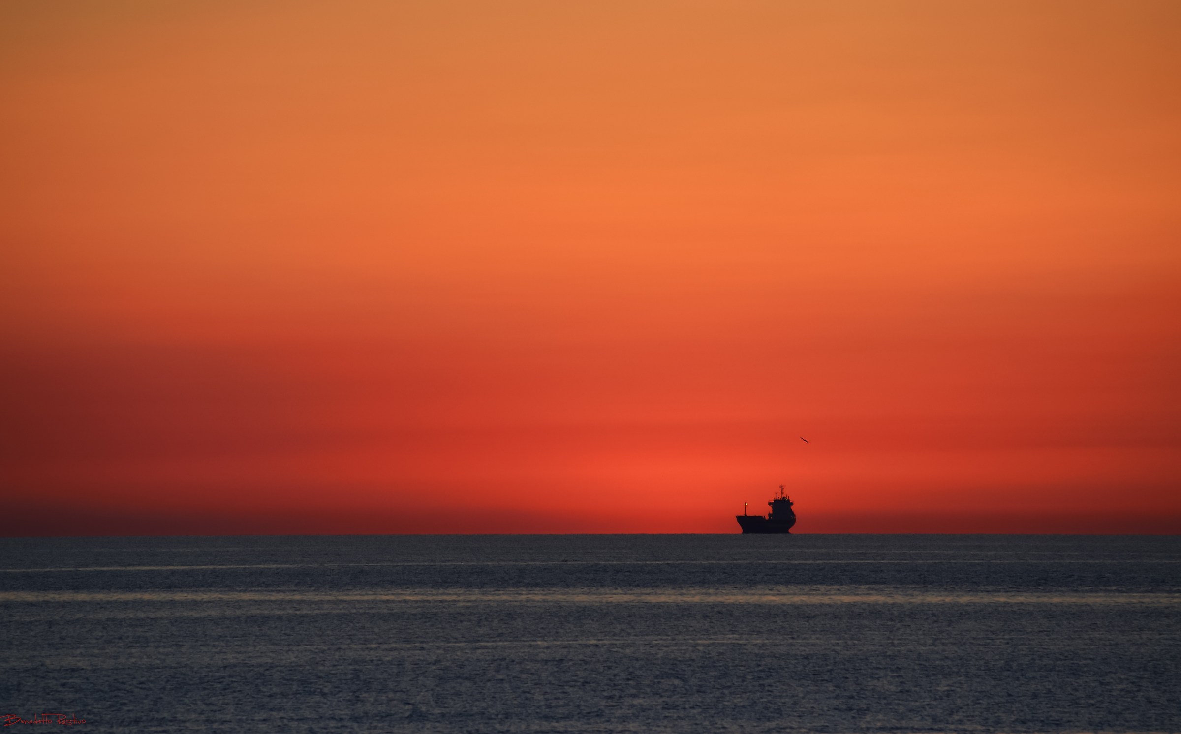 aspettando il nuovo giorno.....