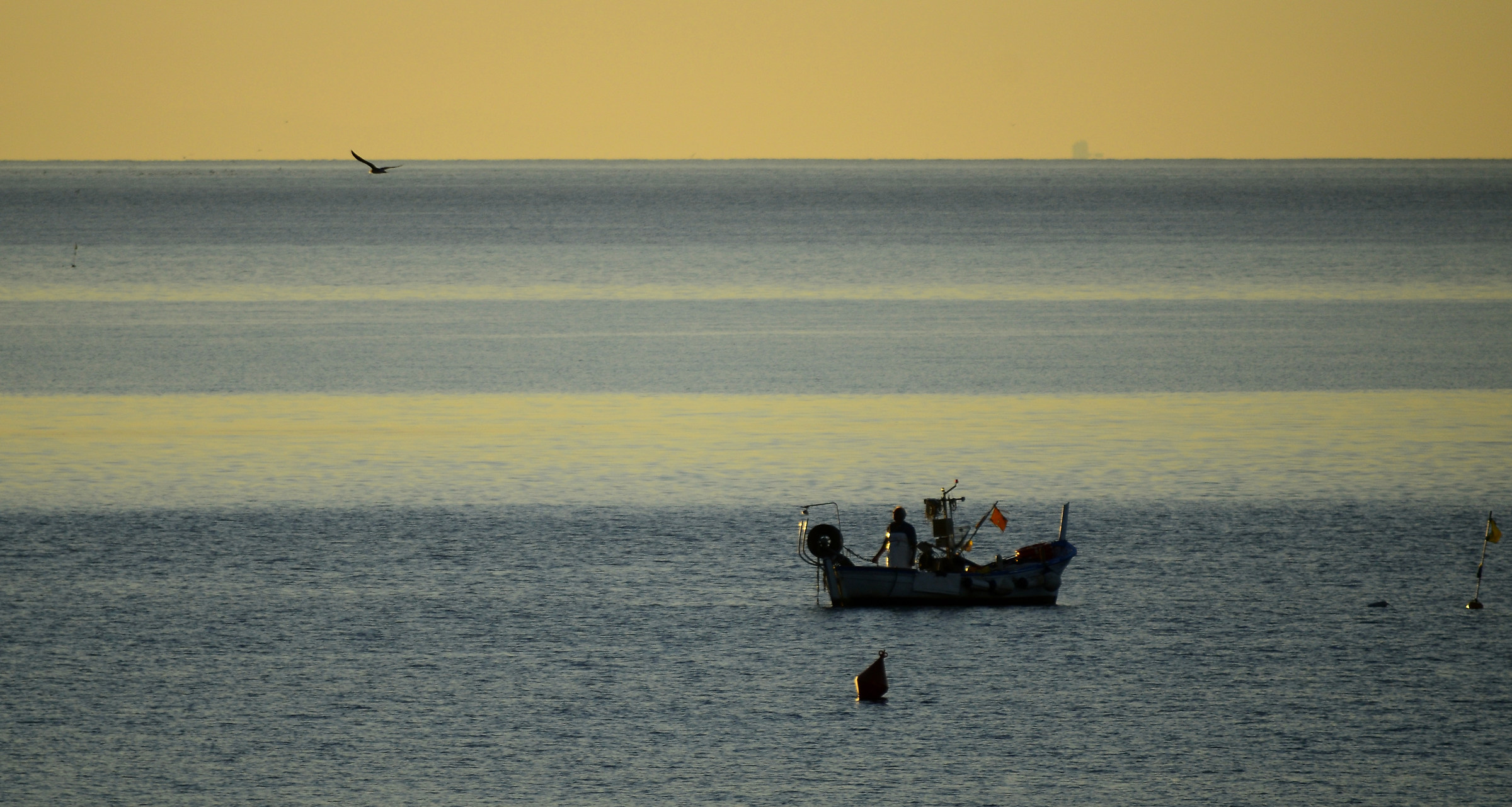 Pesca di prima mattina