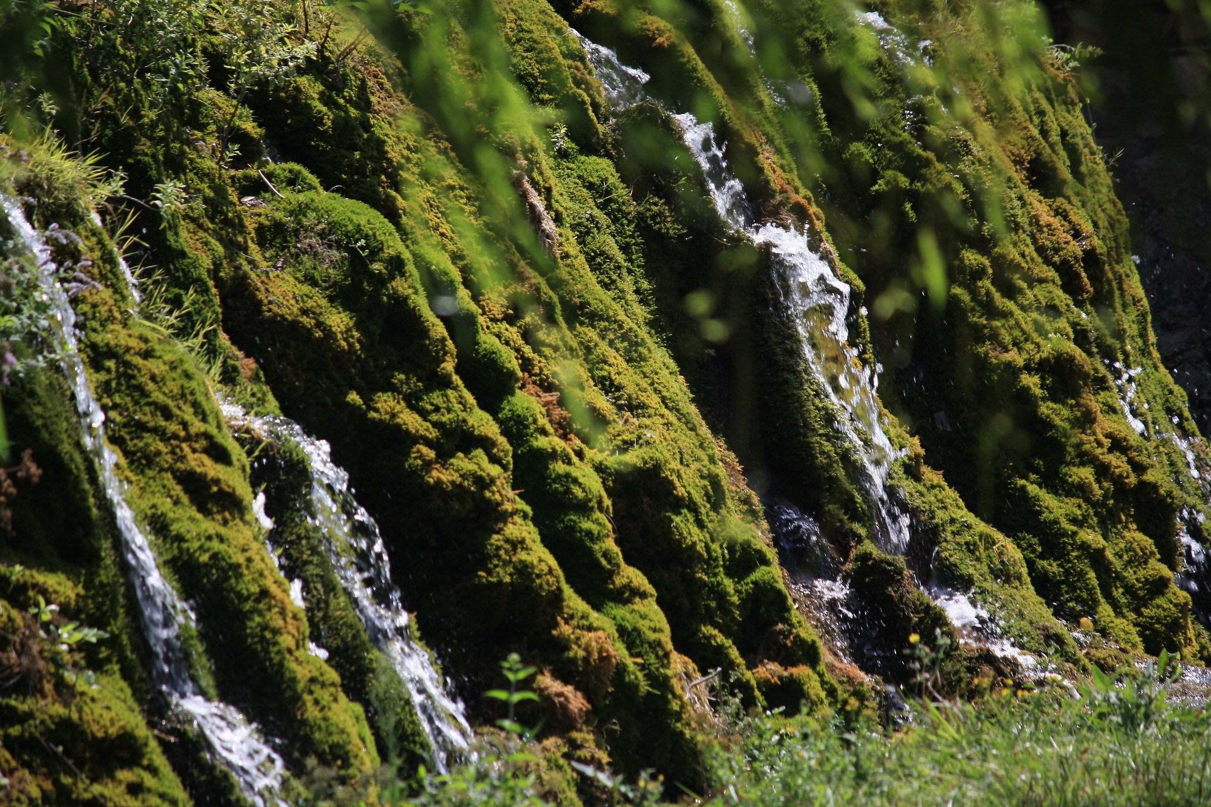 Chiare, fresche e dolci acque