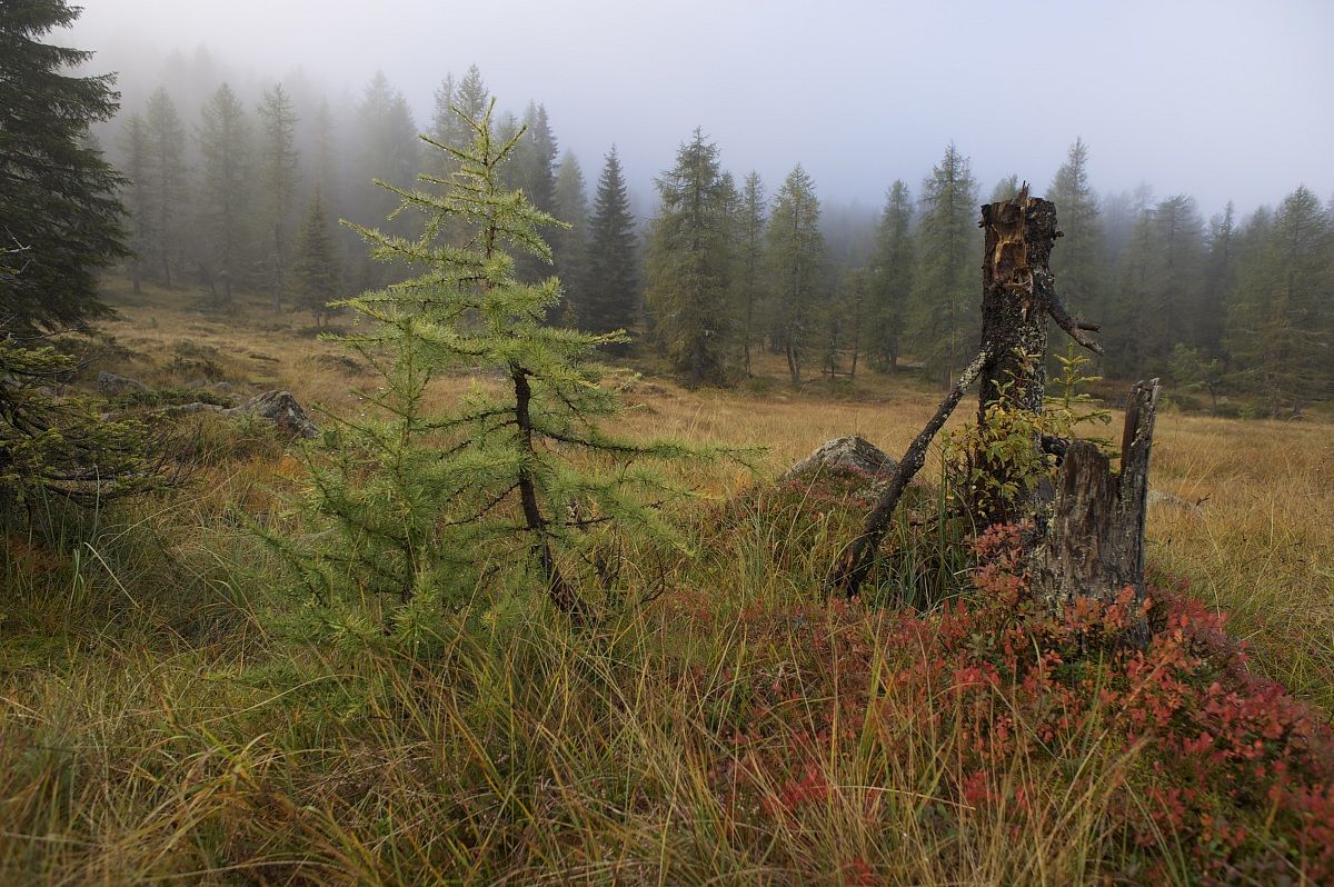aspettando l'autunno