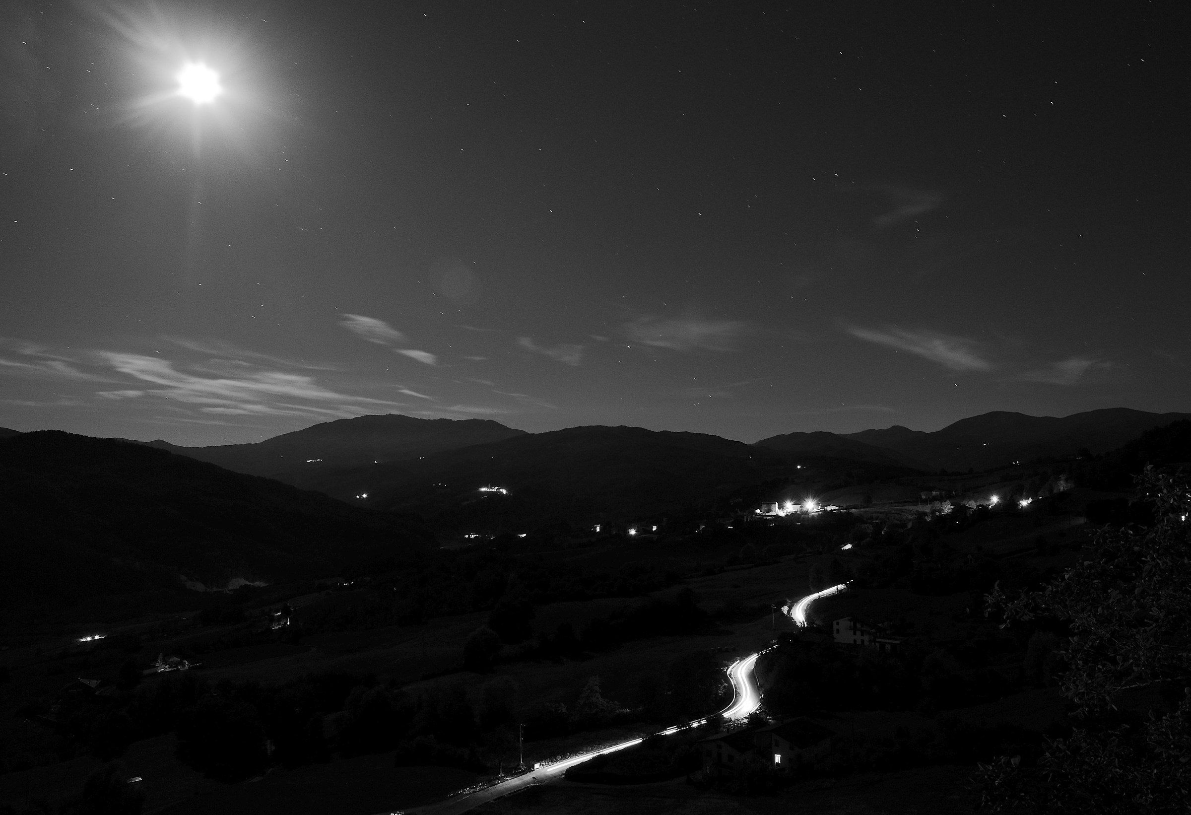 Snake bright in the night