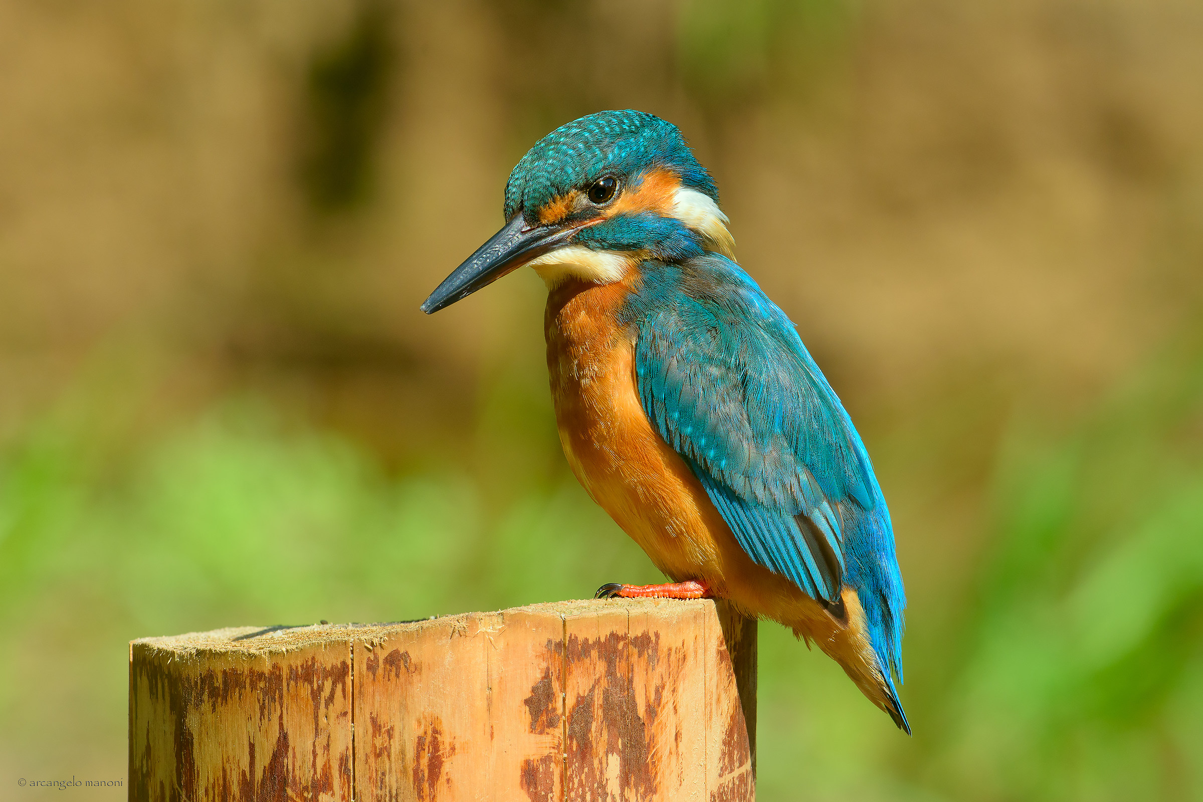 Incontro del 16 agosto