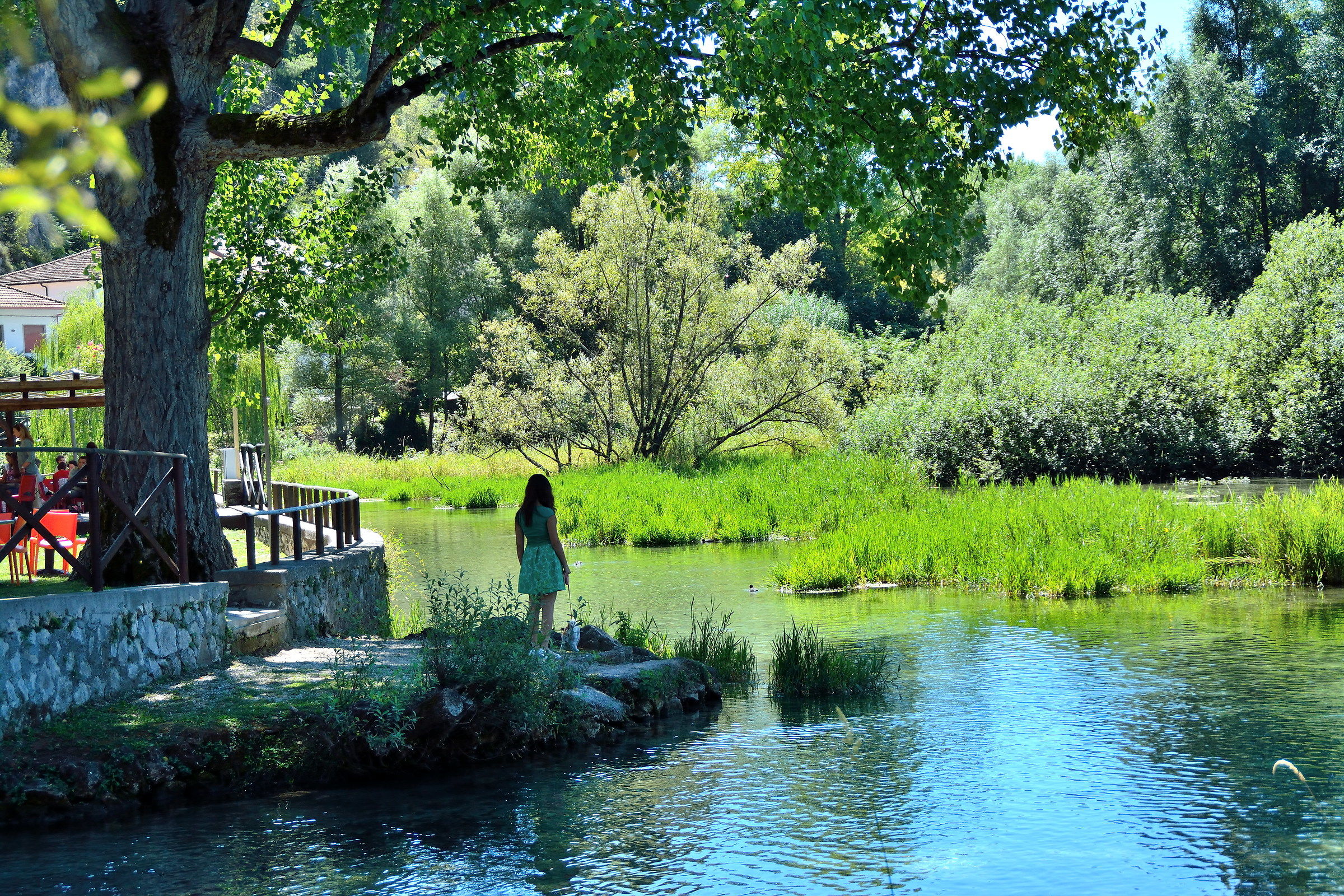 The Girl by the Lake