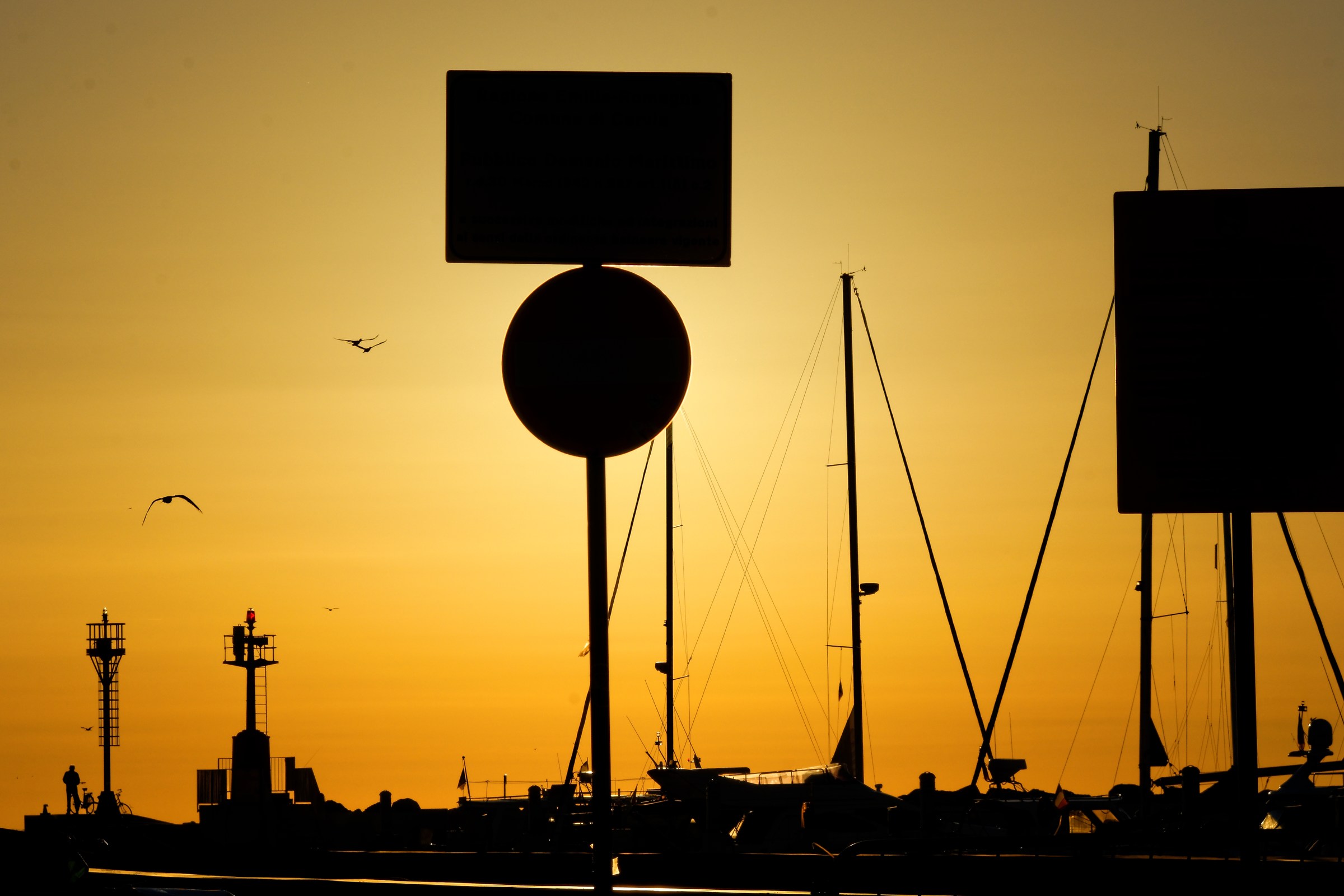 In the morning I bird catches the worm