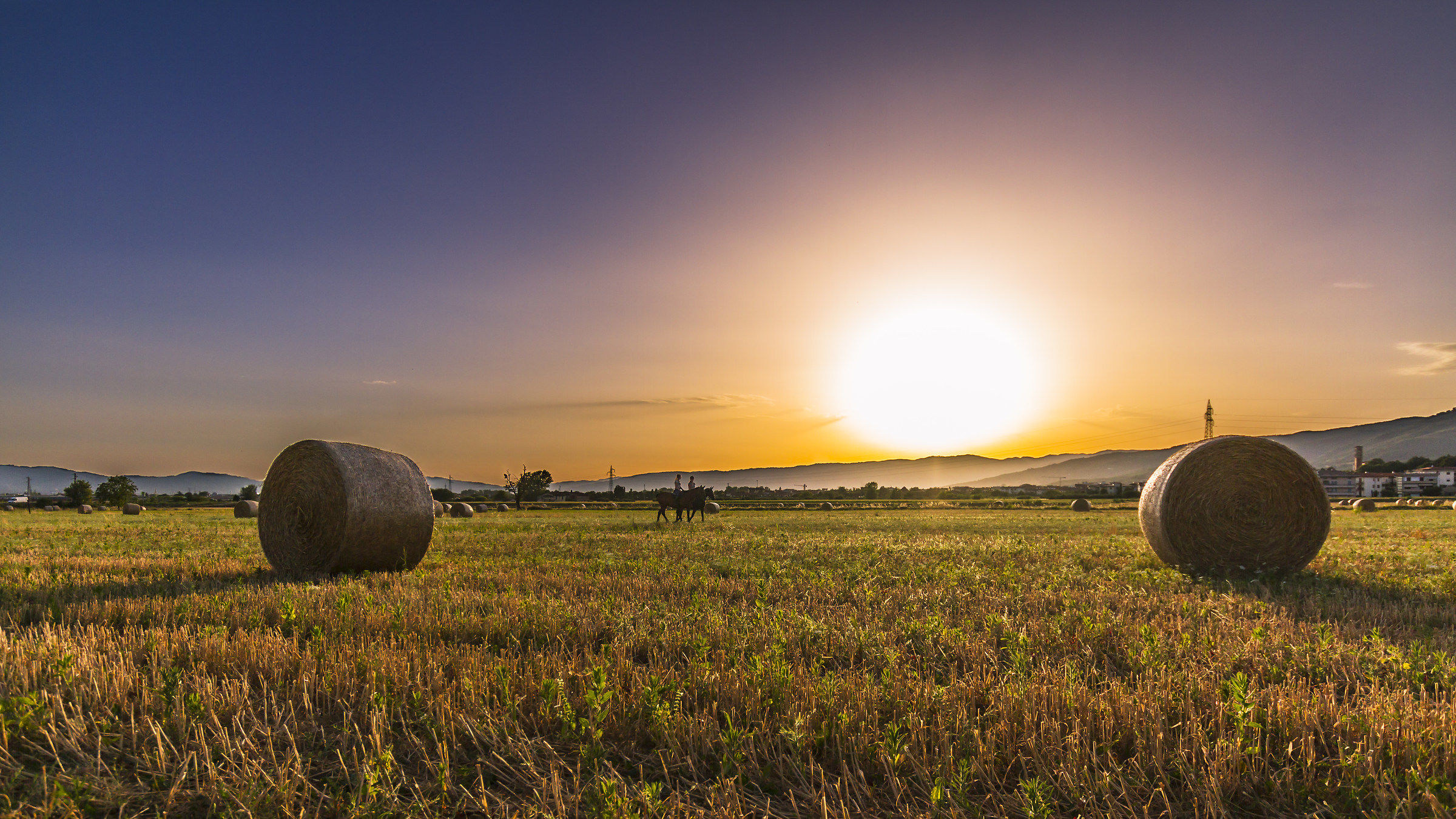 Bagnolo - Campo di Grano #1