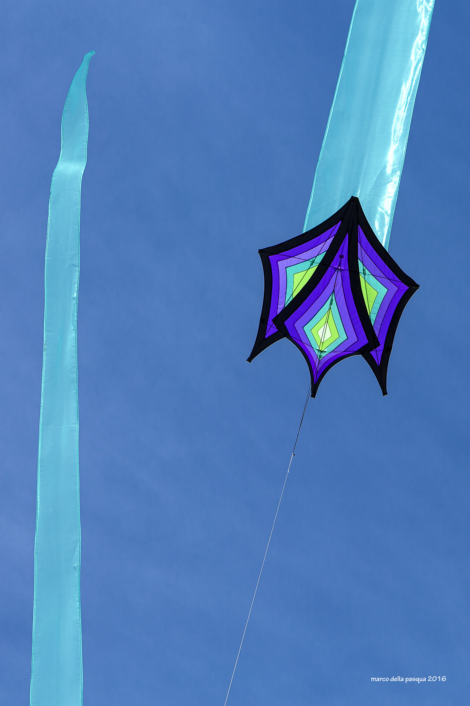 kites