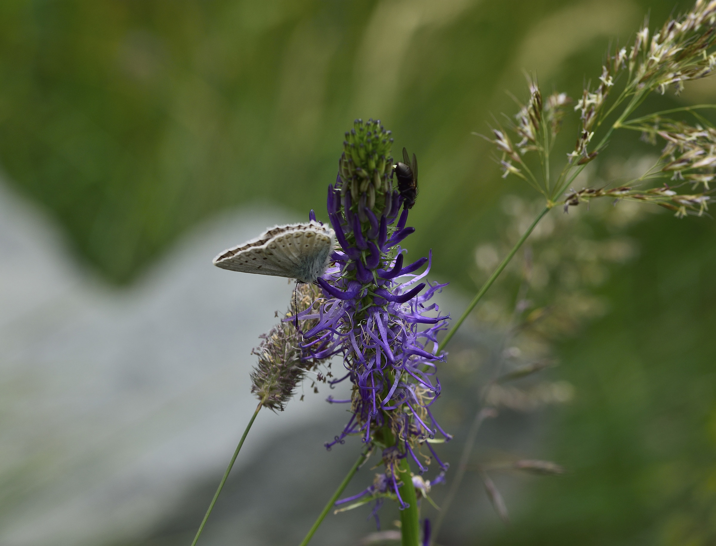 In short, you where you stand?