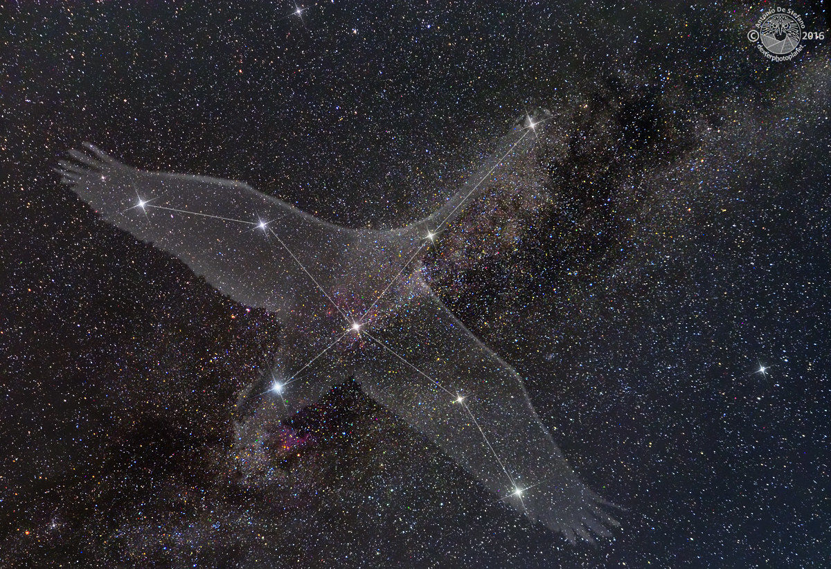 Costellazione del Cigno