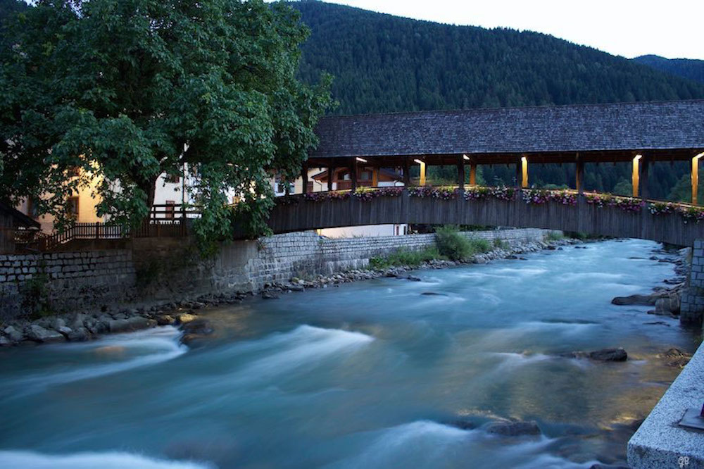 we are small funghettin