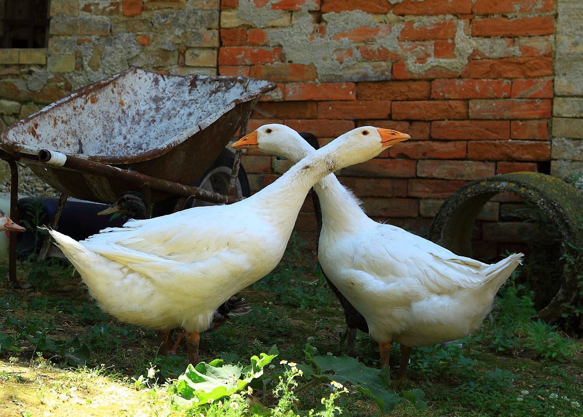 Dangerous intersection ...