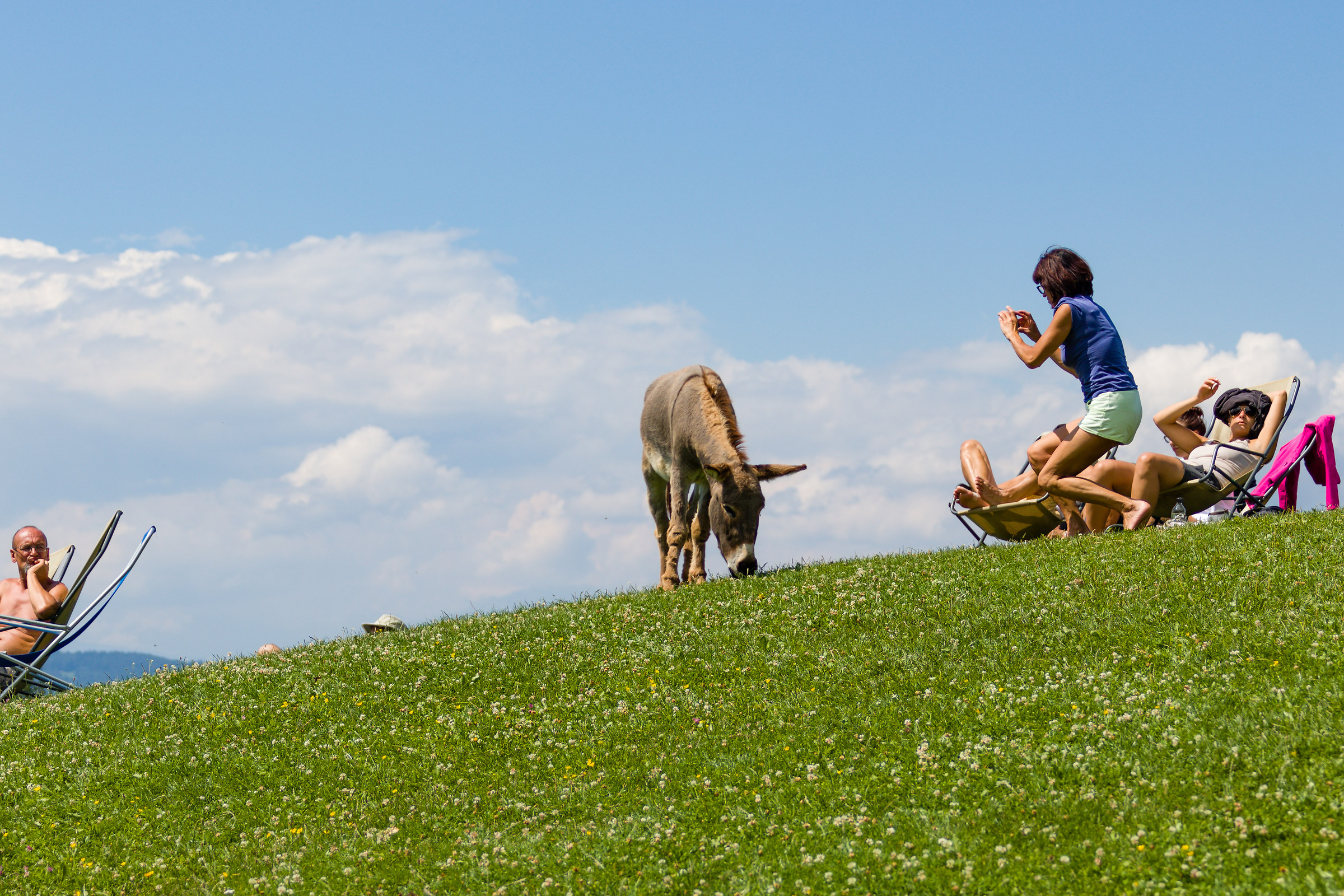 At the center of attention