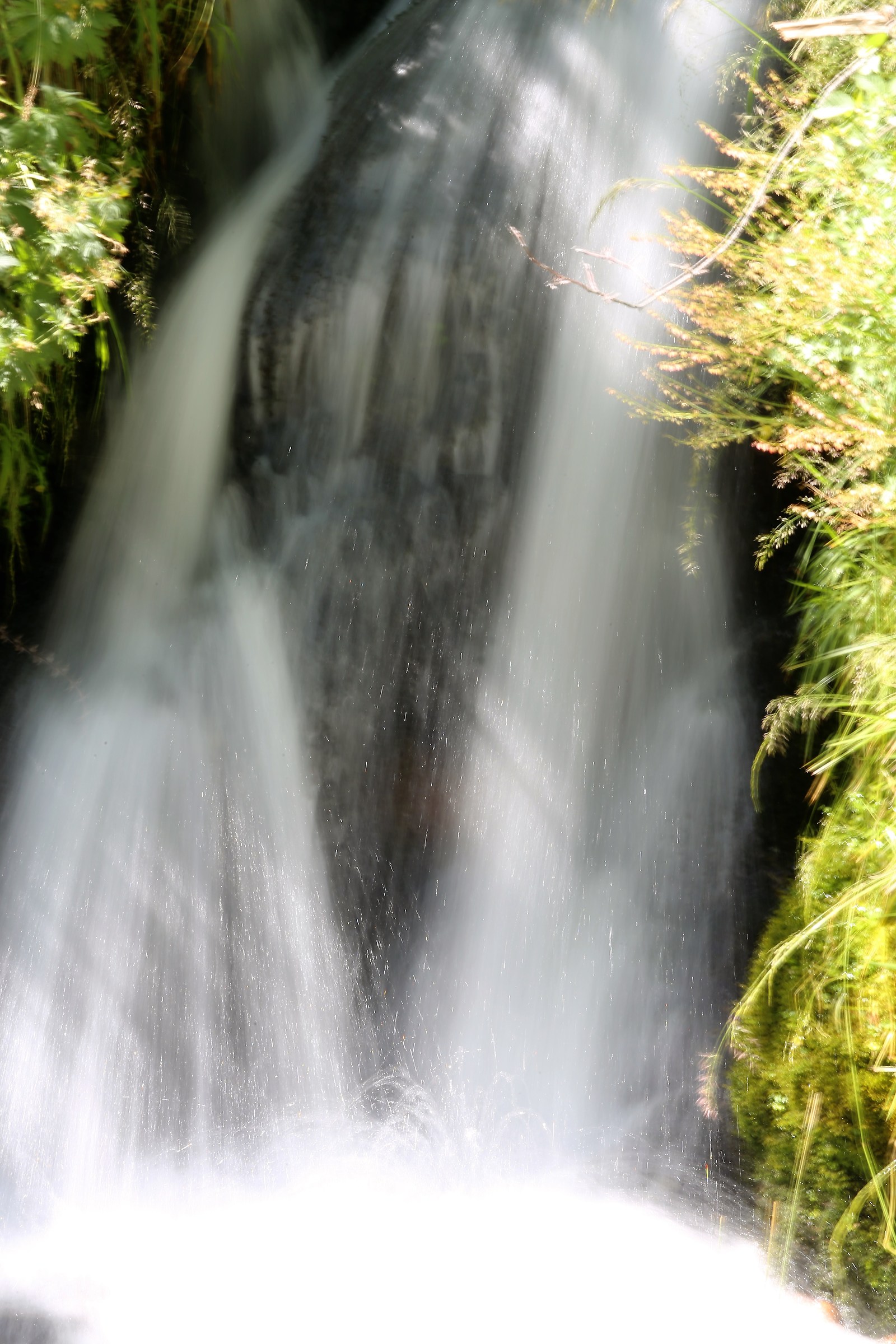 Cascatella vellutata