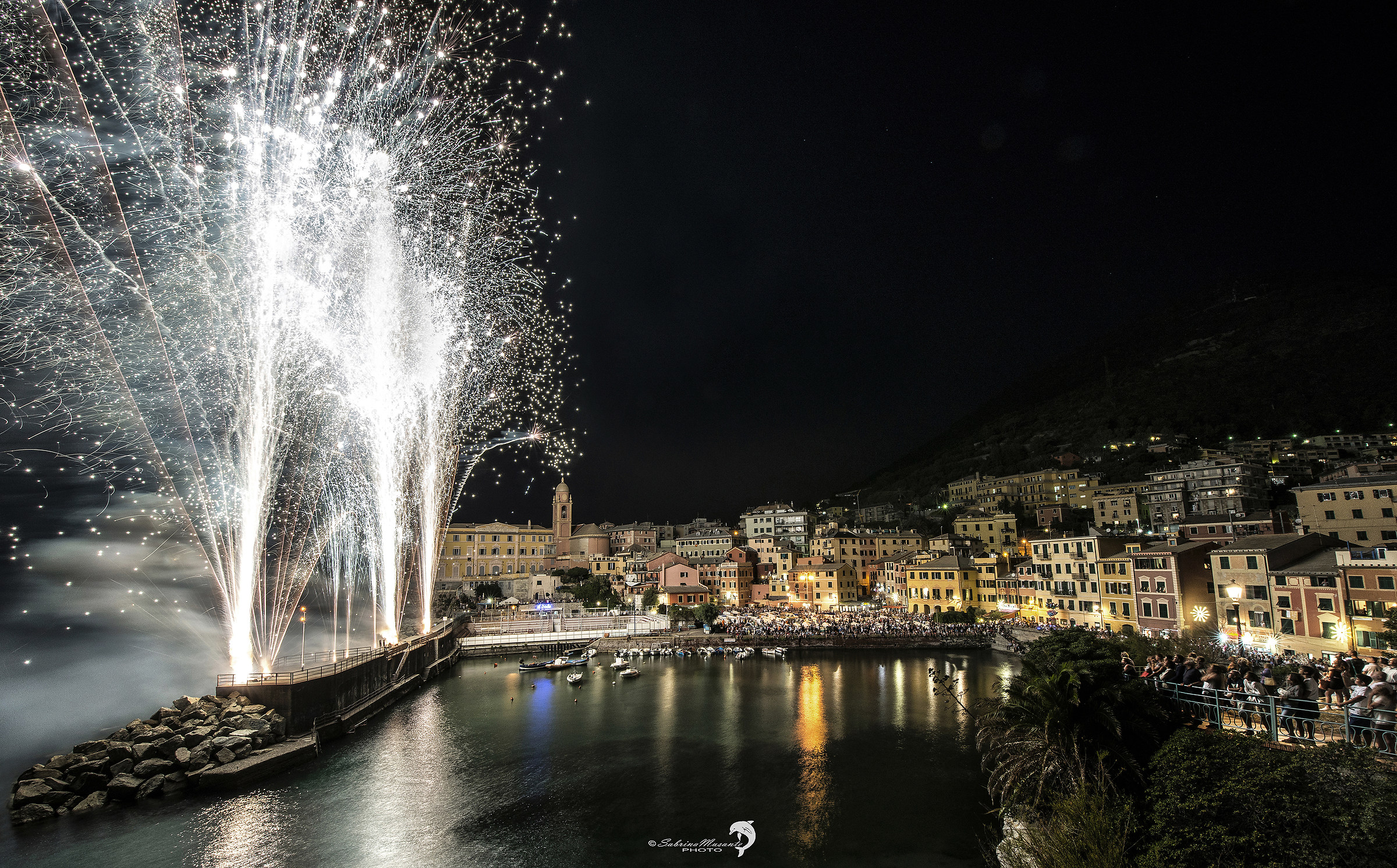 Nerves - Assumption NS