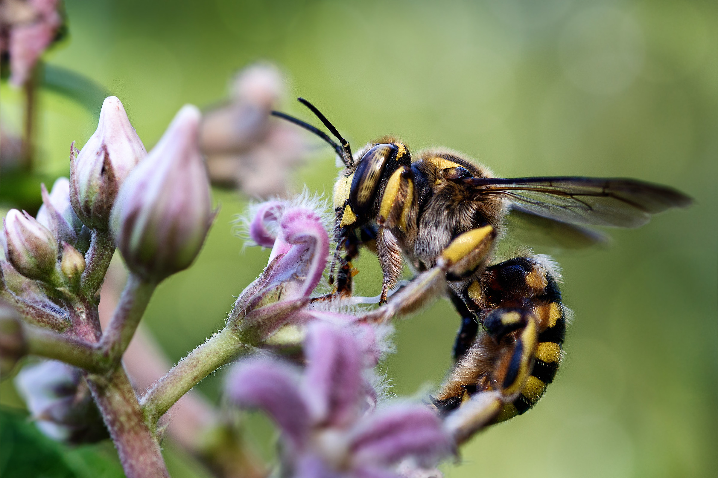 Un pranzo... ravvicinato!