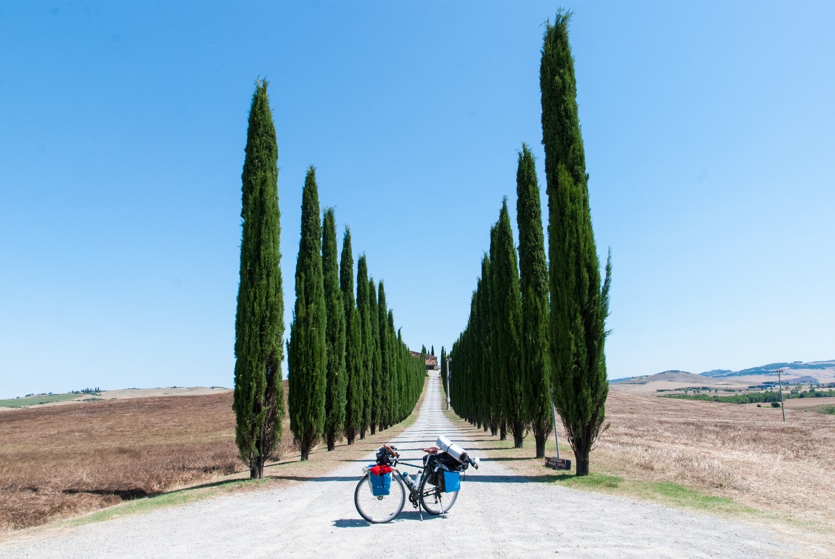 Via Francigena - Pines of Entry