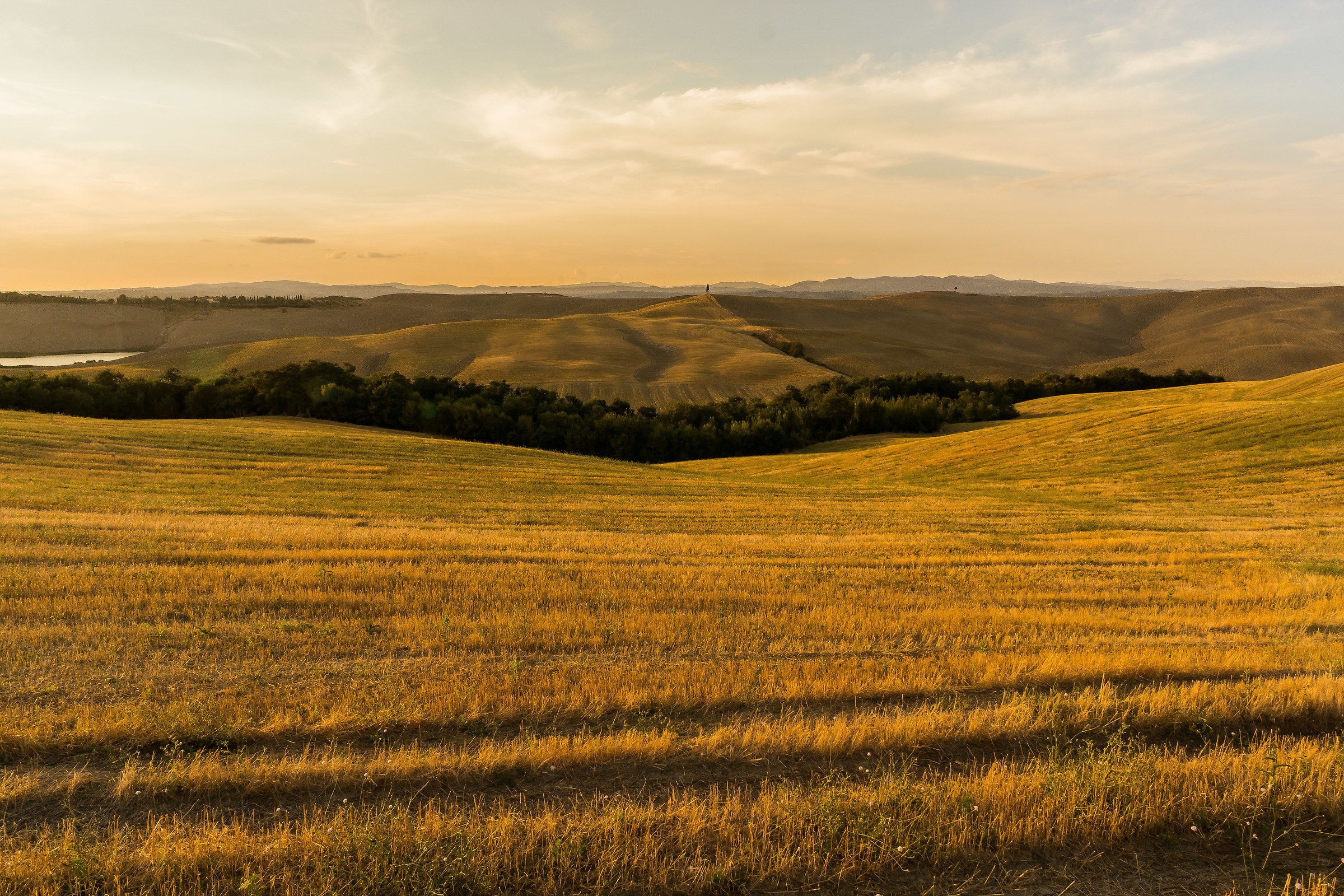 Countryside Asciano - 3
