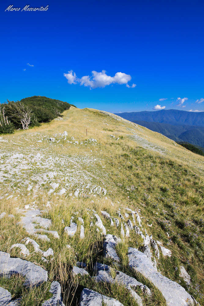 Monte raiamagra-Laceno_Bagnoli Irpino