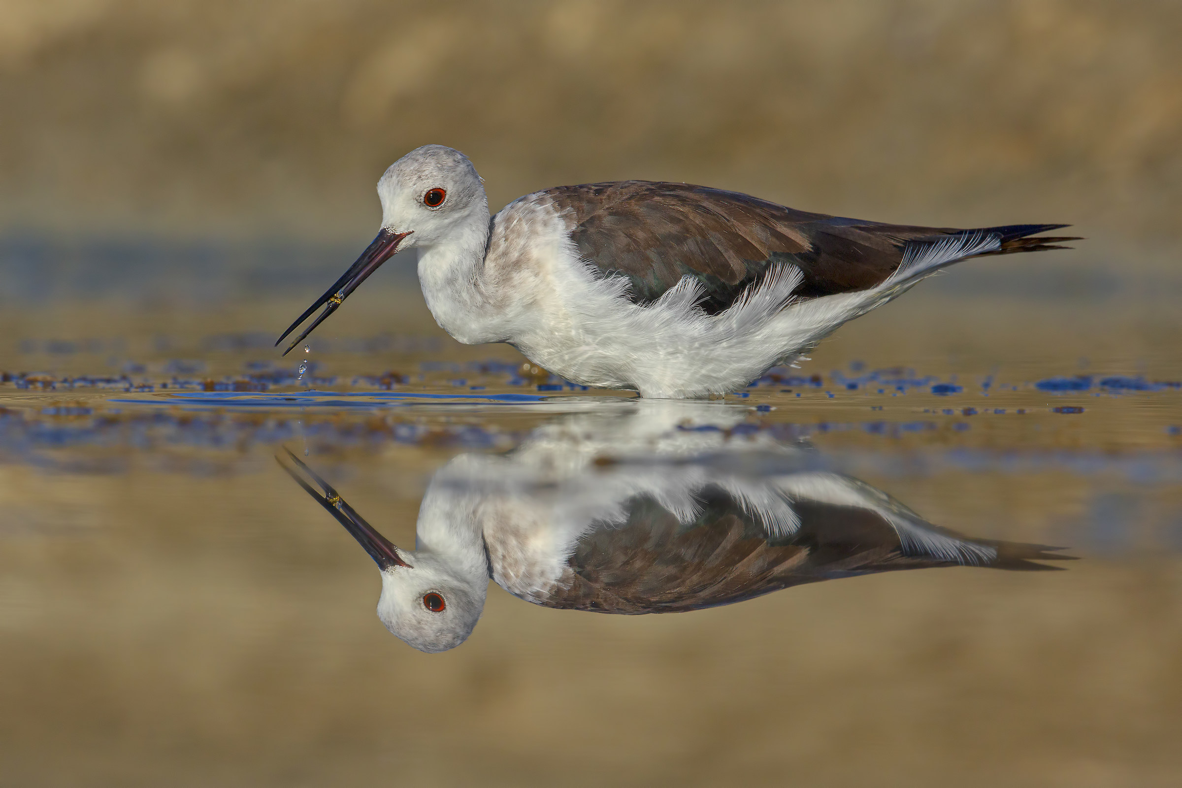 I was waiting for you ... ..