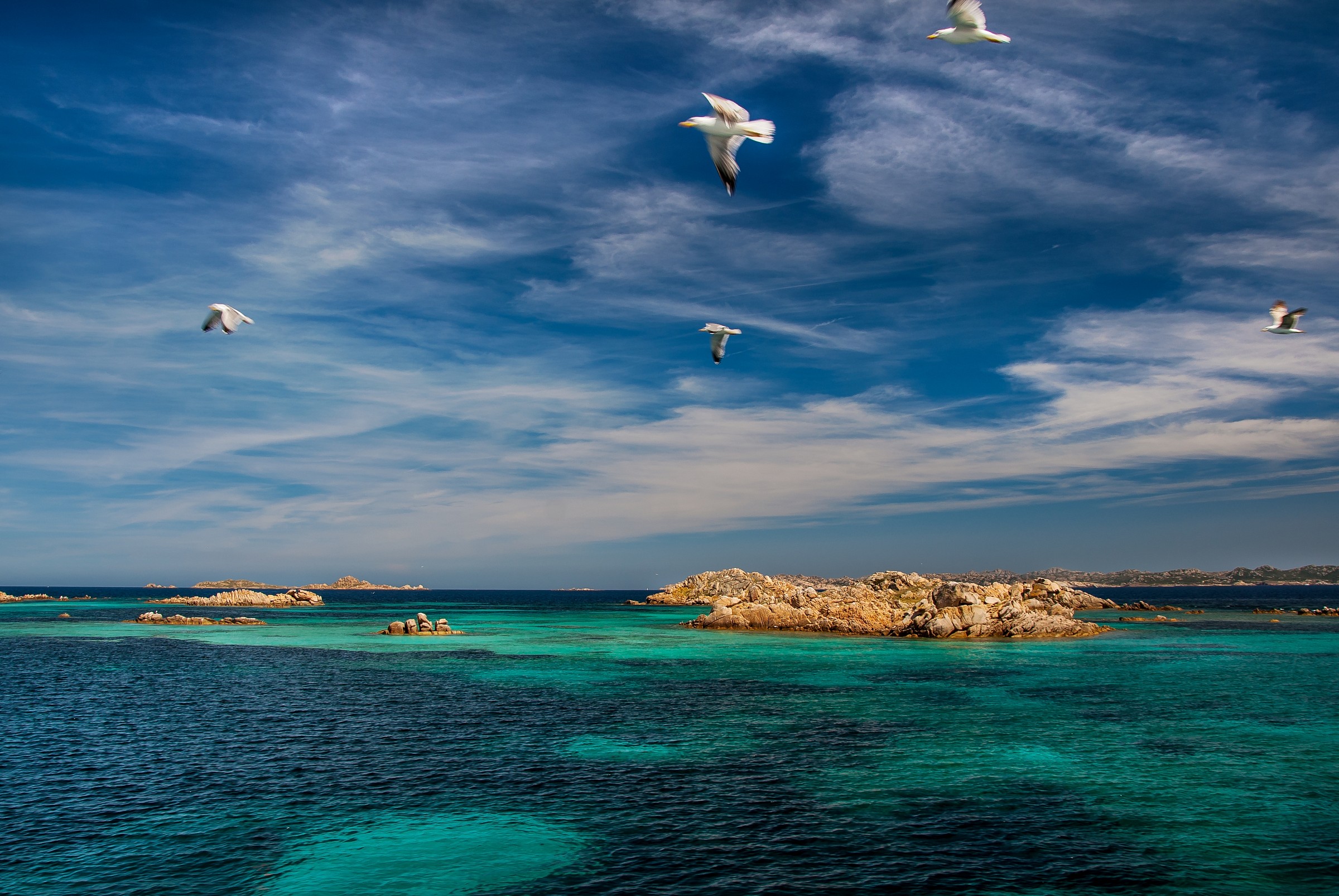 Arcipelago della Maddalena - passo del topo