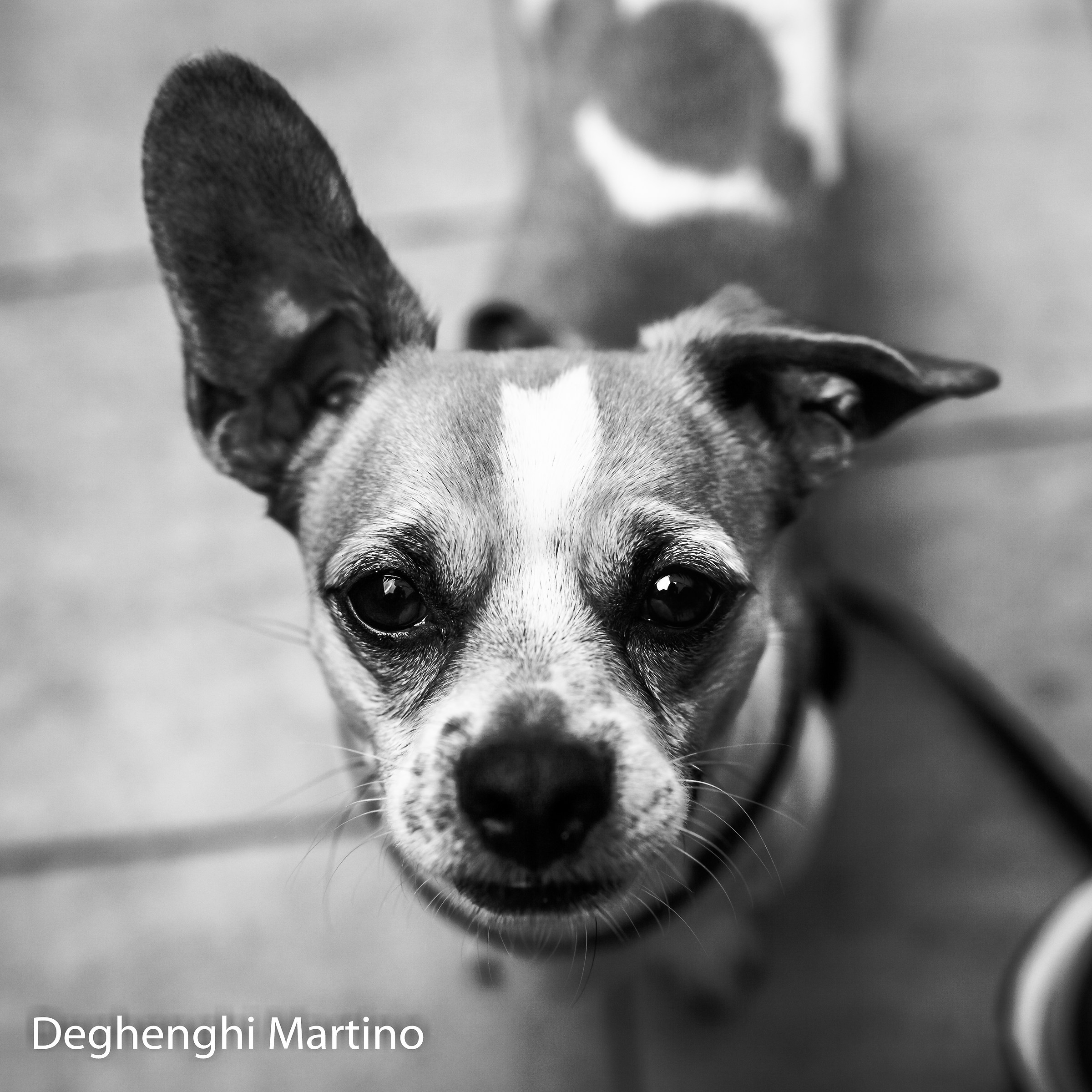 directions ... turns this way ...