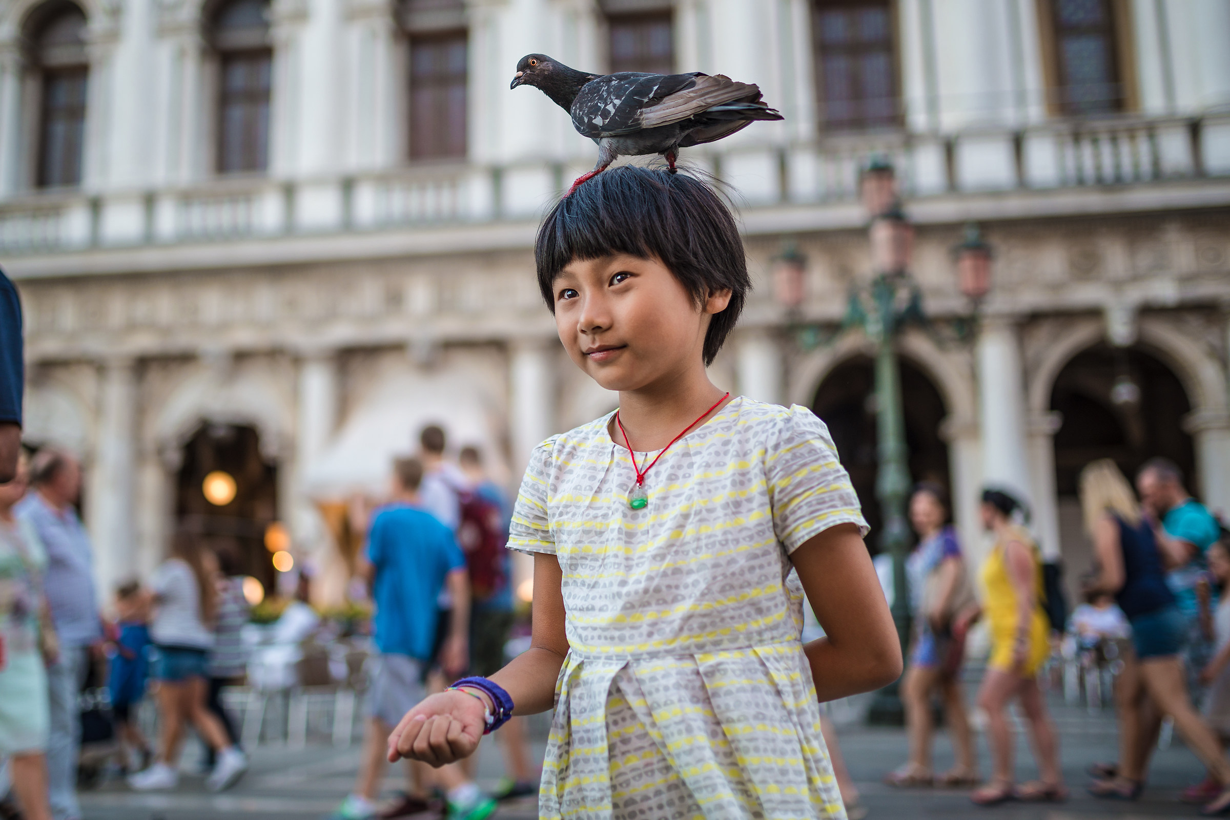 a pigeon with his little friend