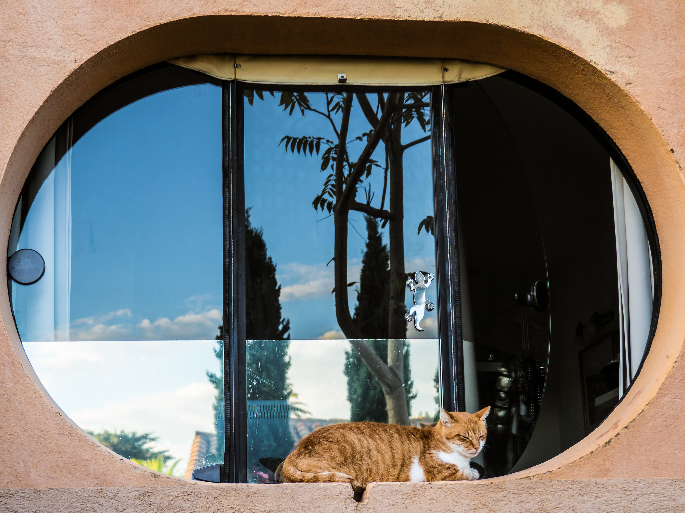 The house keeper fell asleep