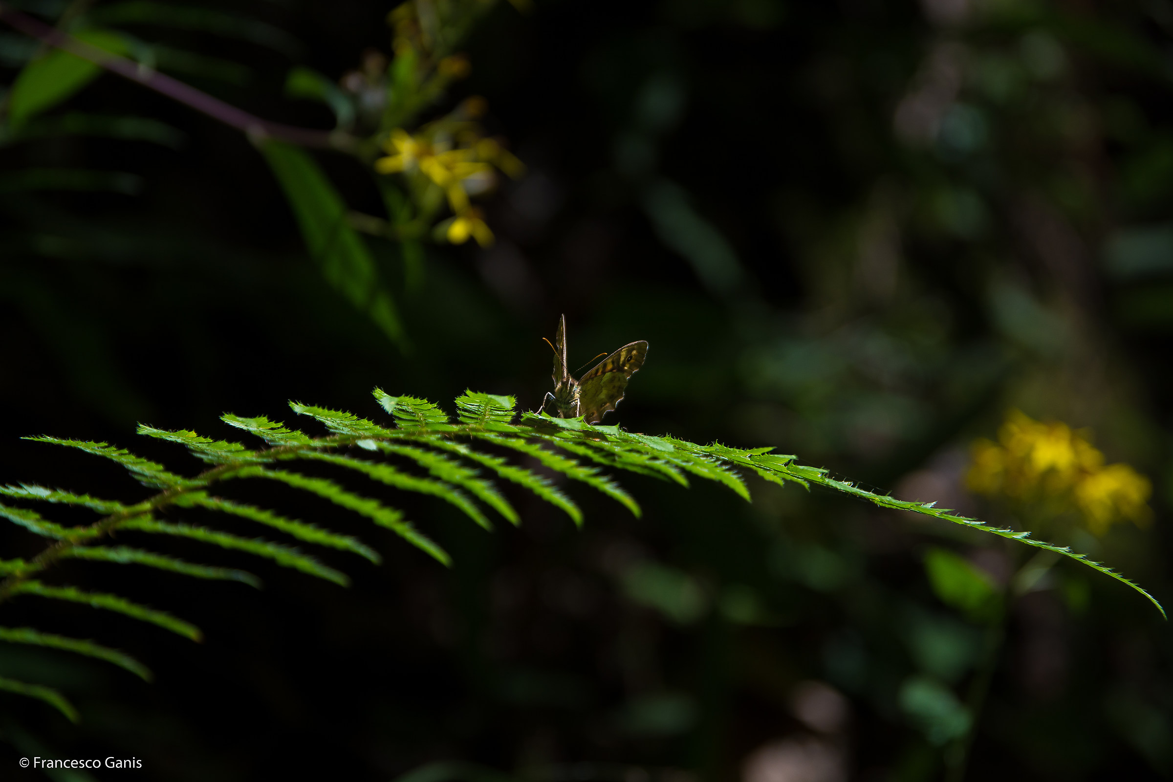 A riposo... baciata dal sole!