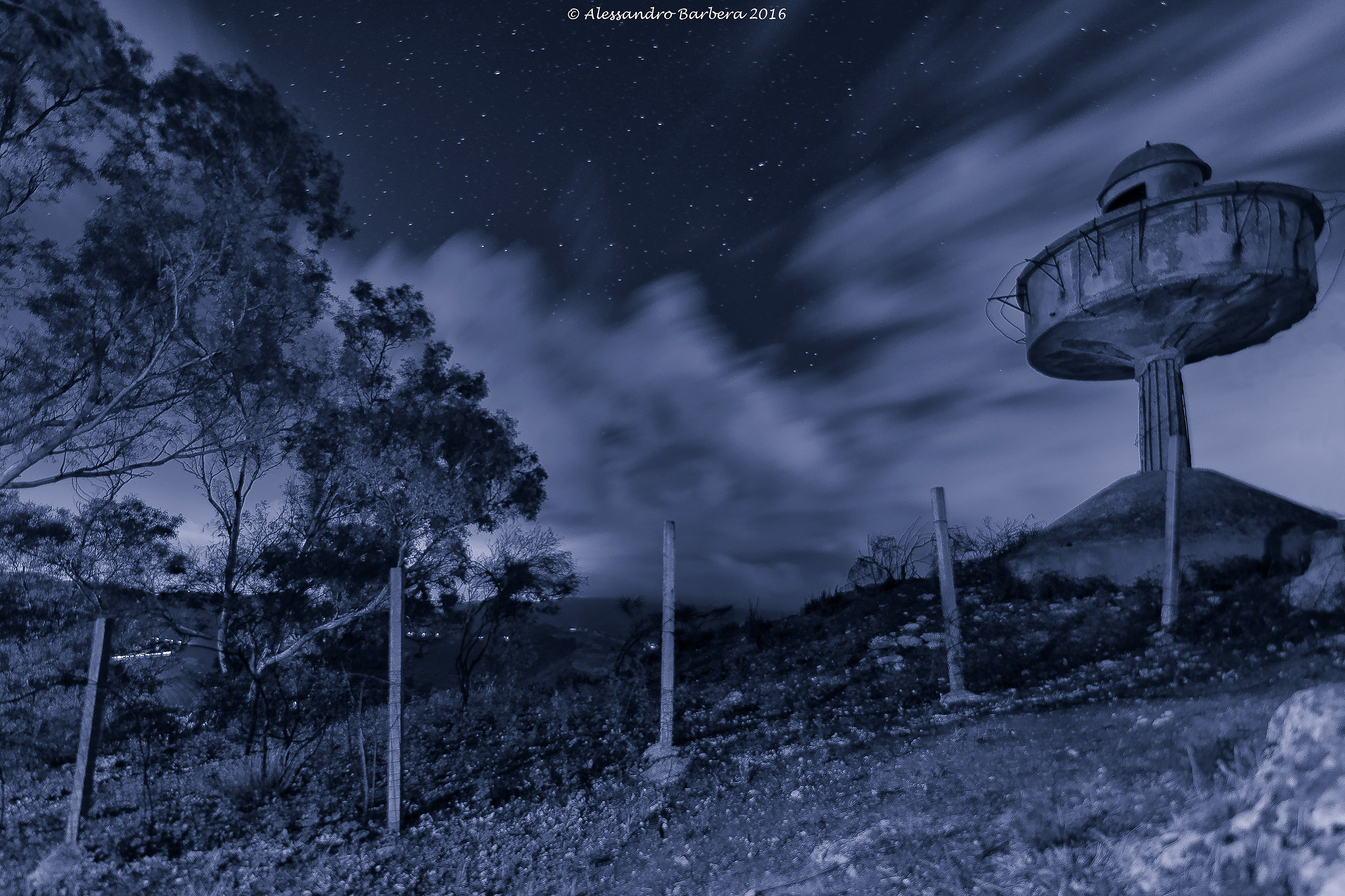 Salice sotto le stelle