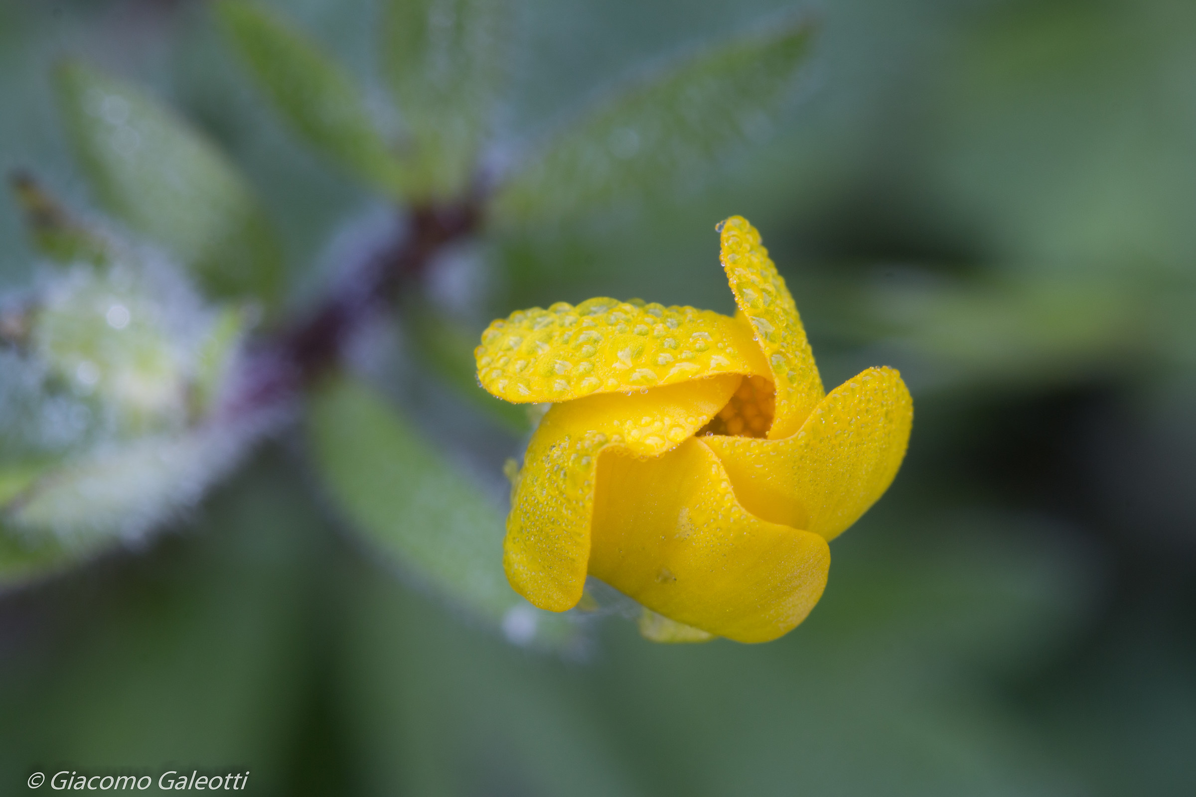 Freddo, Chiuso, Brillante!!