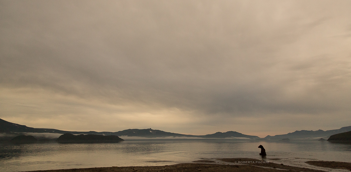 The first light of morning